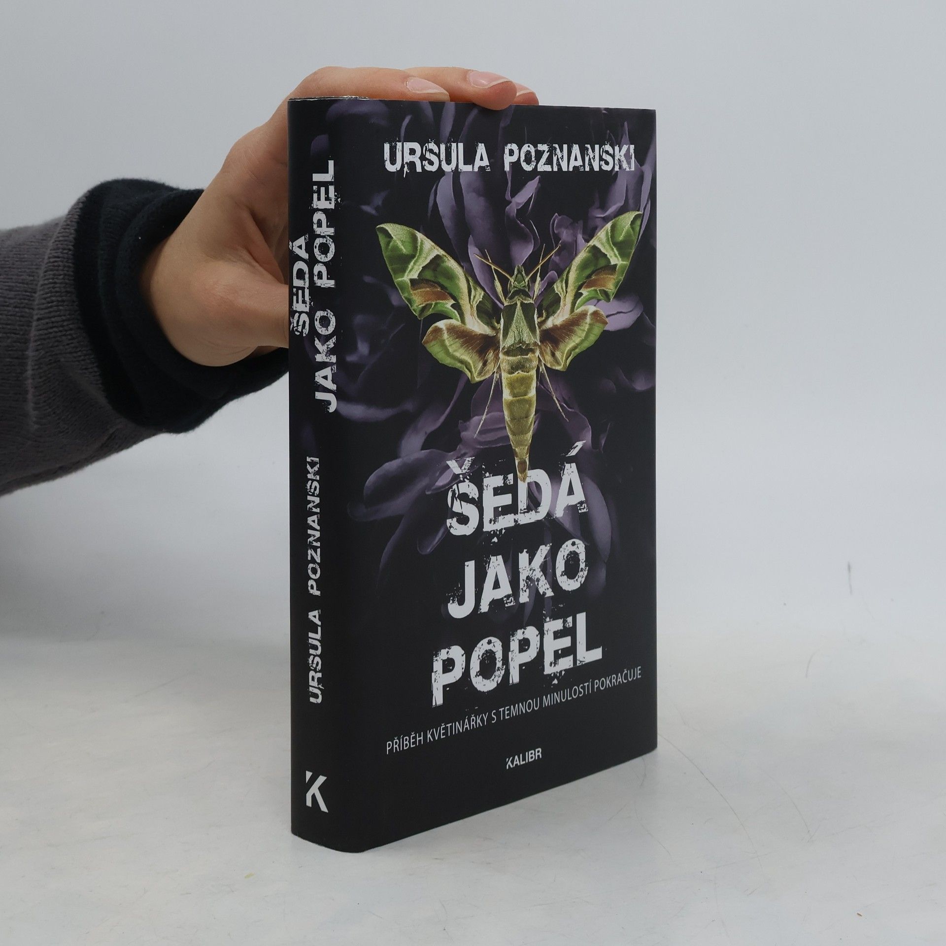 Ursula Poznanski Šedá jako popel