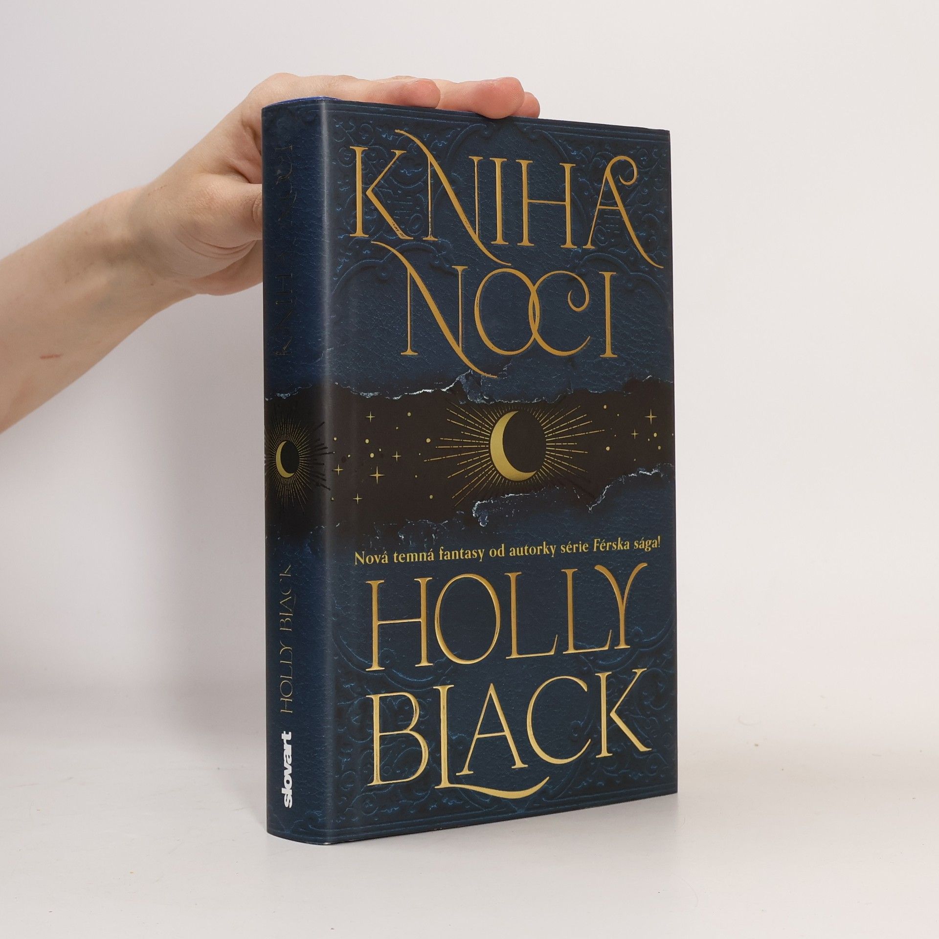 Holly Black Kniha noci