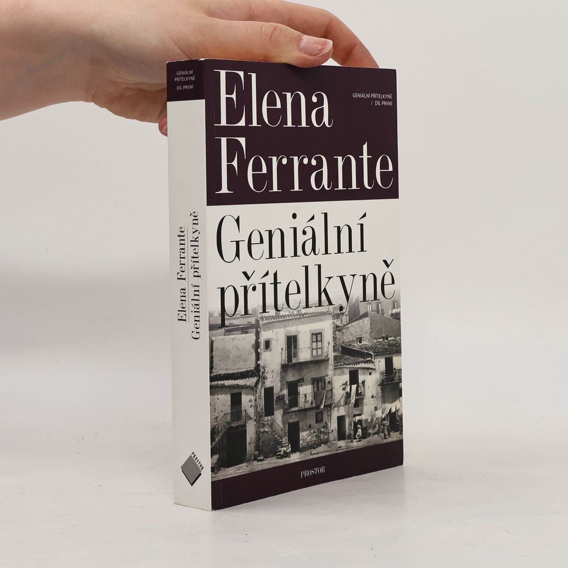 Elena Ferrante Geniální přítelkyně 1. Dětství a dospívání