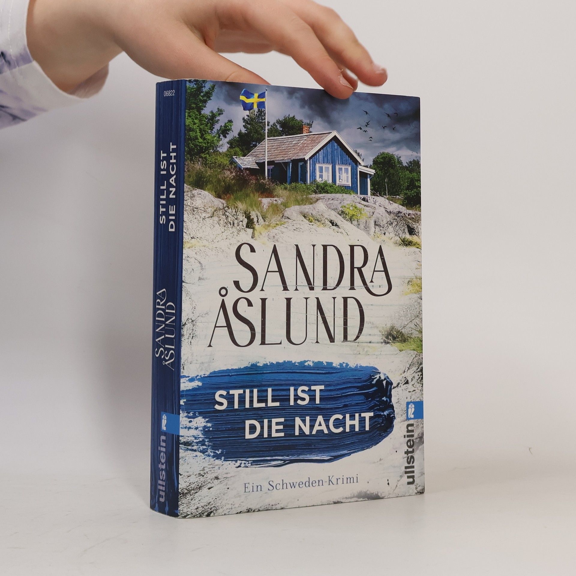 Sandra Åslund Still ist die Nacht