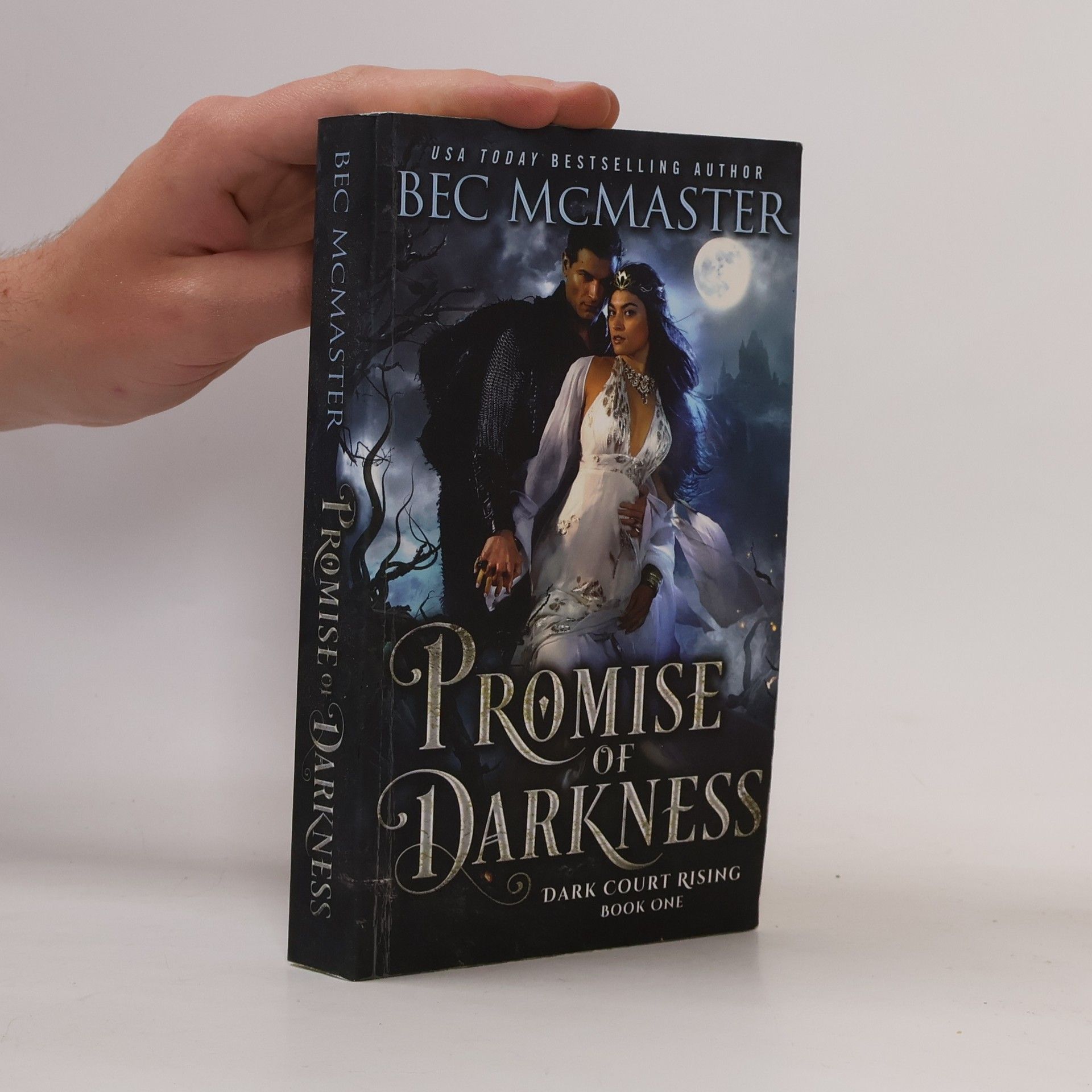 Bec Mcmaster Promise of Darkness