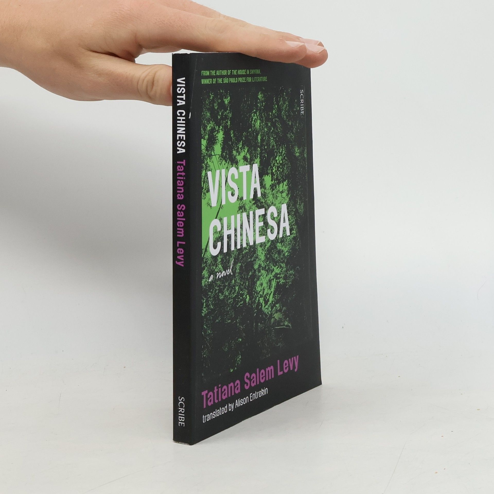 Tatiana Salem Levy Vista Chinesa