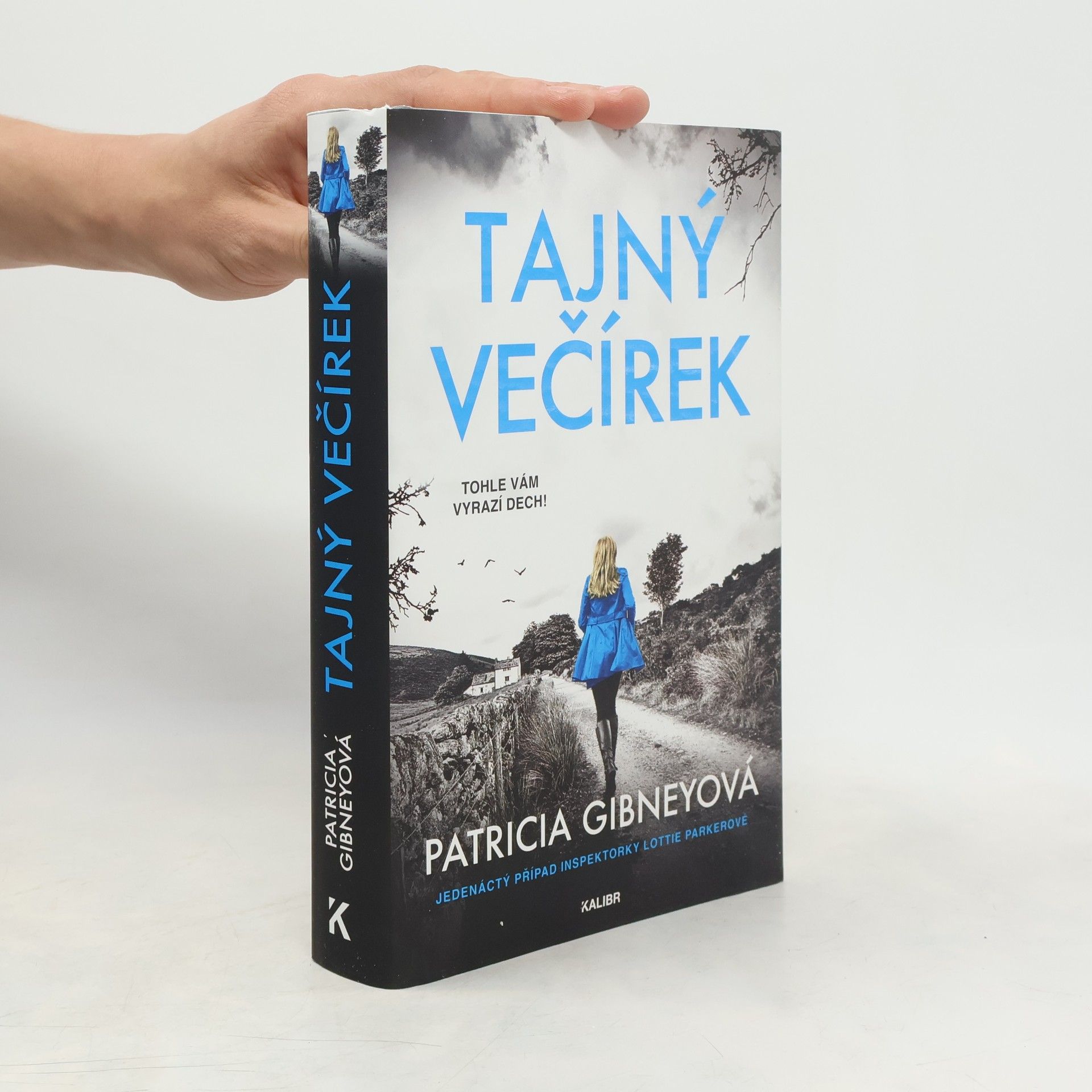 Tajný večírek