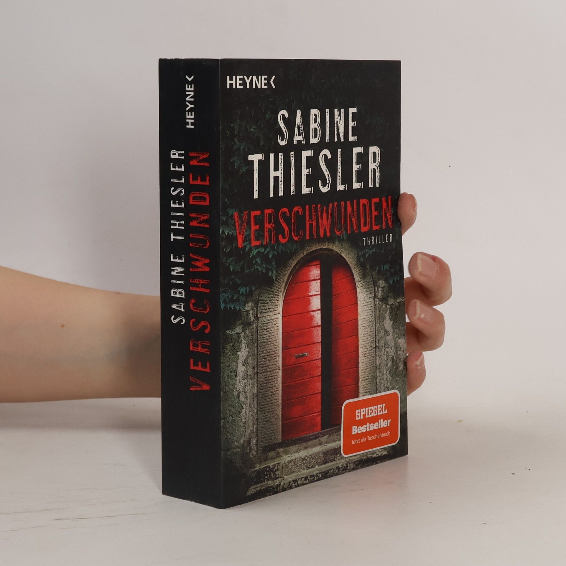 Sabine Thiesler Verschwunden