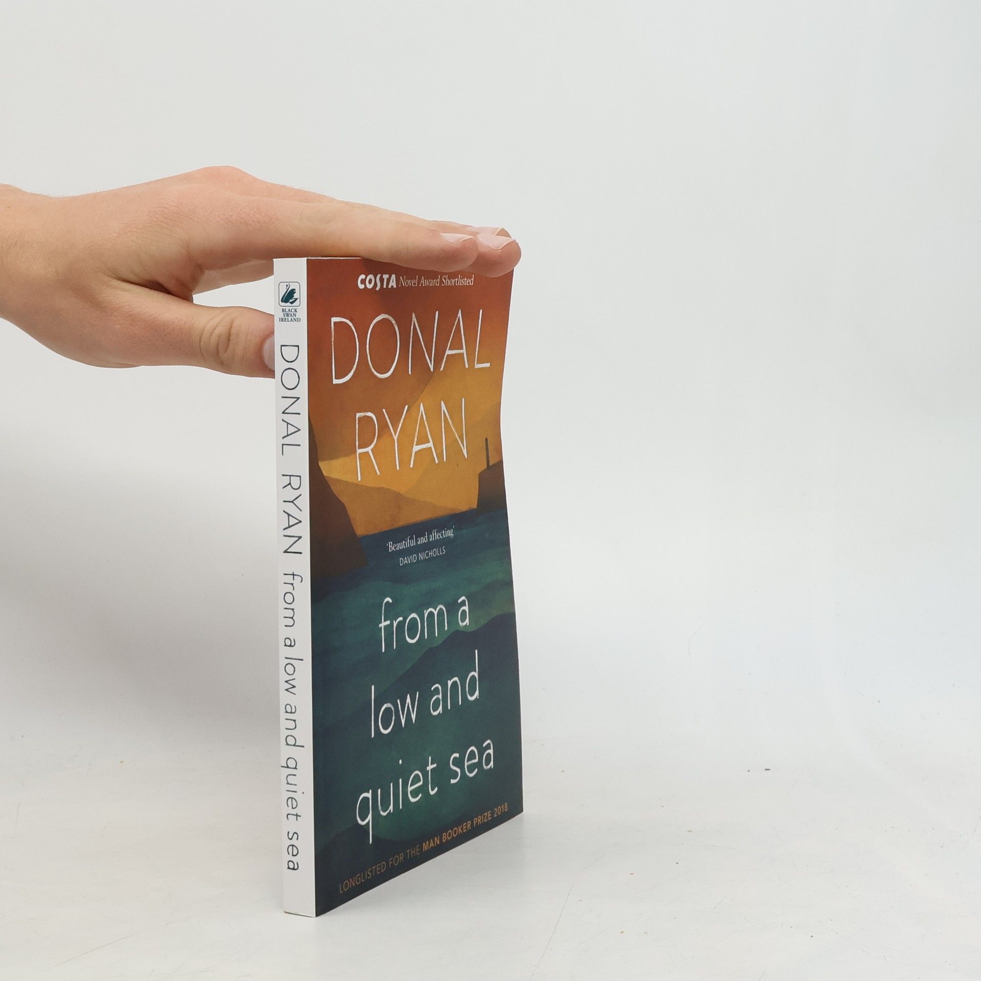 Donal Ryan From a Low and Quiet Sea
