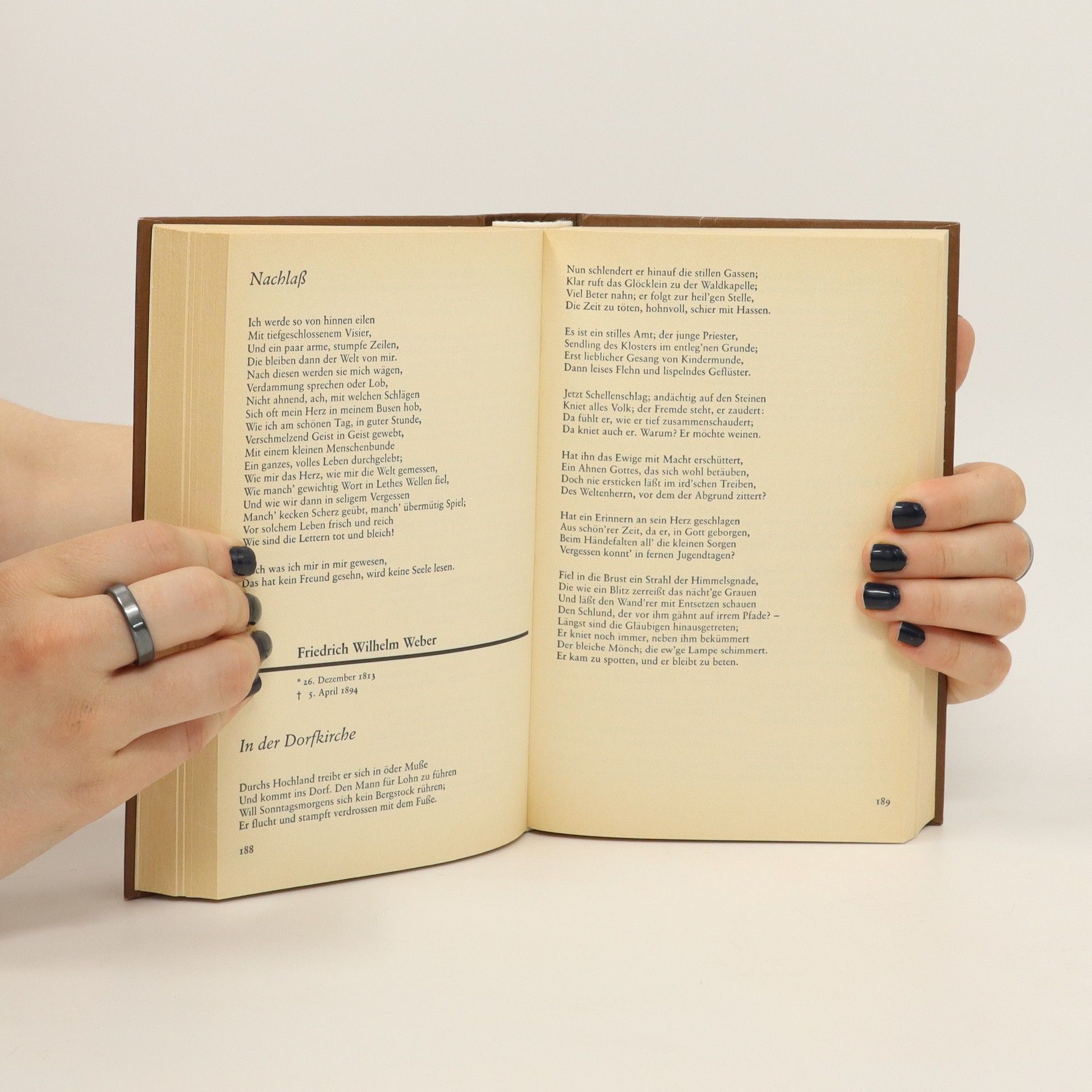 Kolektiv autorů Deutsche Hausbibliothek: Gedichtschatz