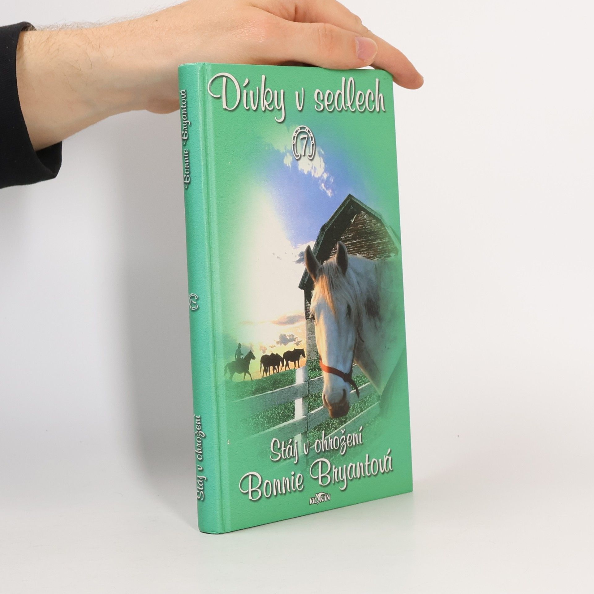 Bonnie Bryant Dívky v sedlech. 7, Stáj v ohrožení