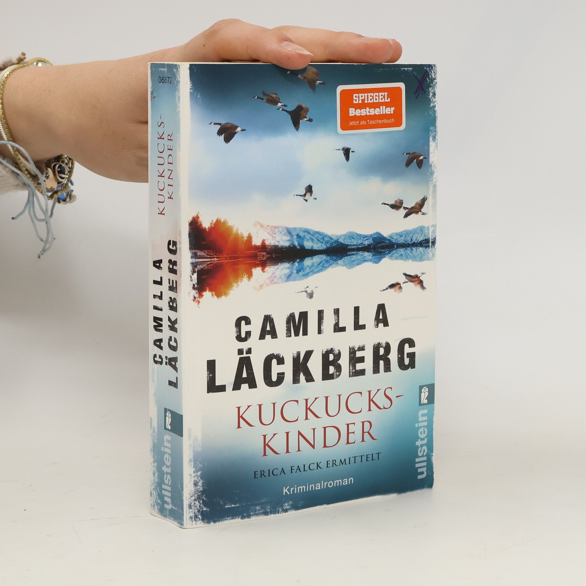 Kuckuckskinder (Ein Falck-Hedström-Krimi 11)
