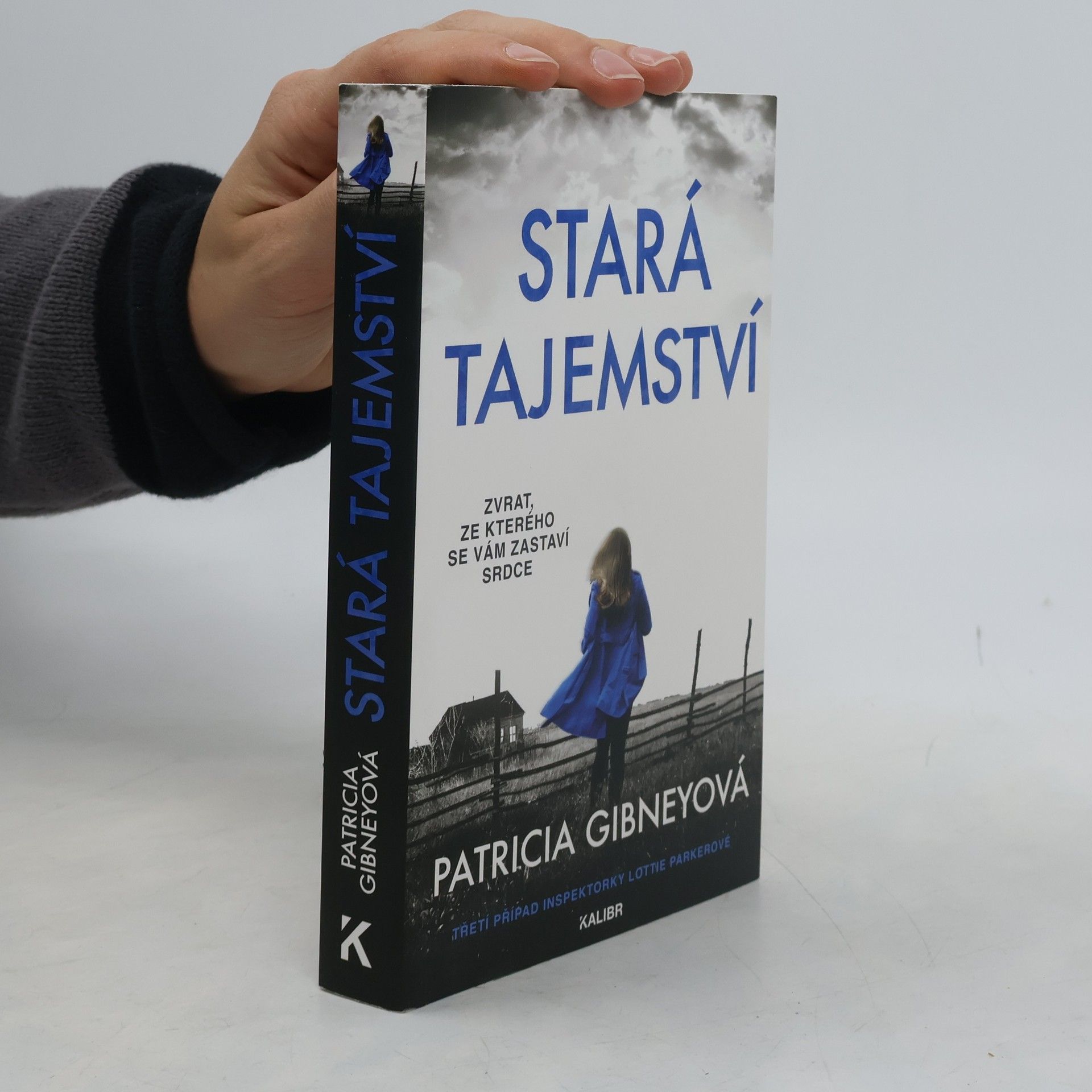 Patricia Gibney Stará tajemství