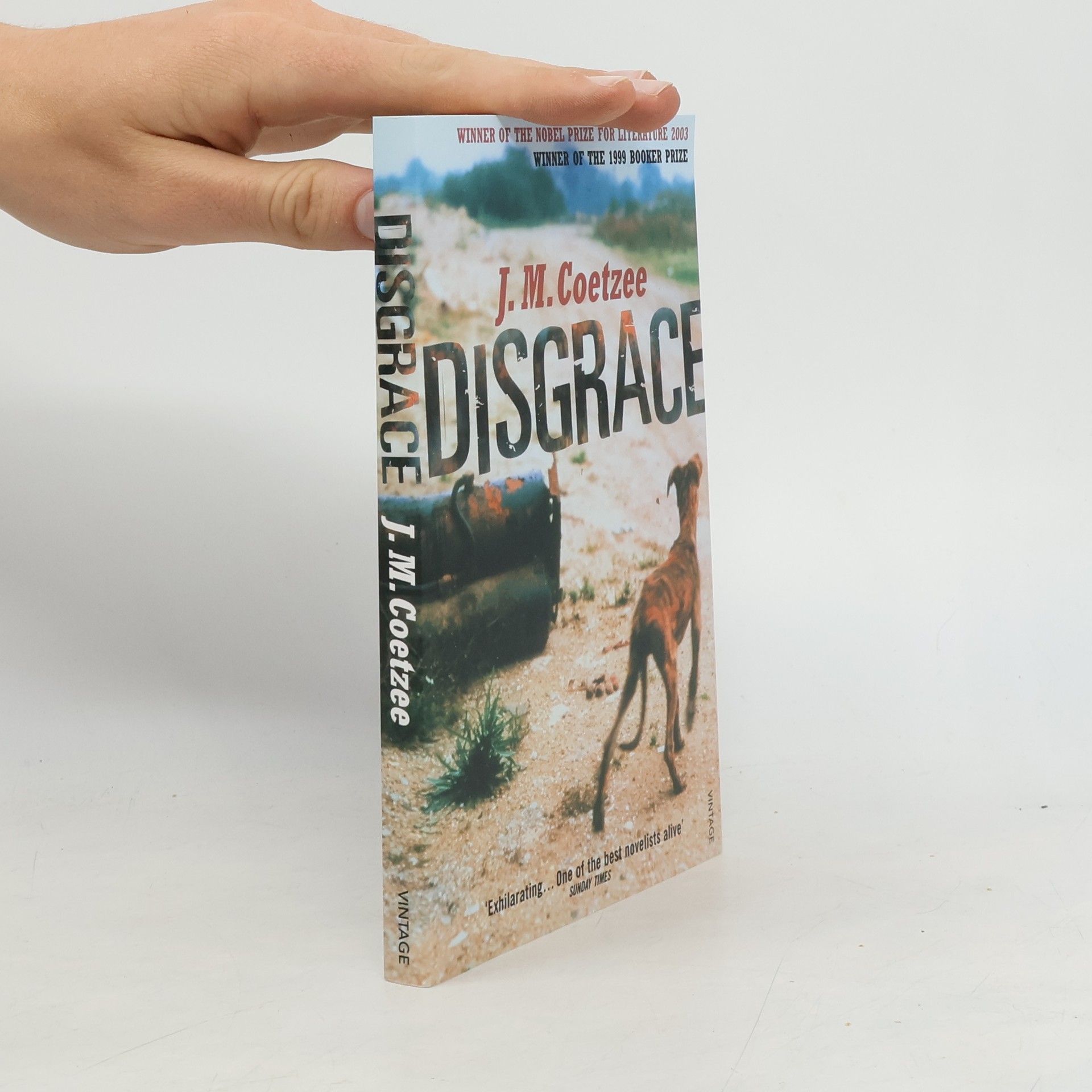 John Maxwell Coetzee Disgrace