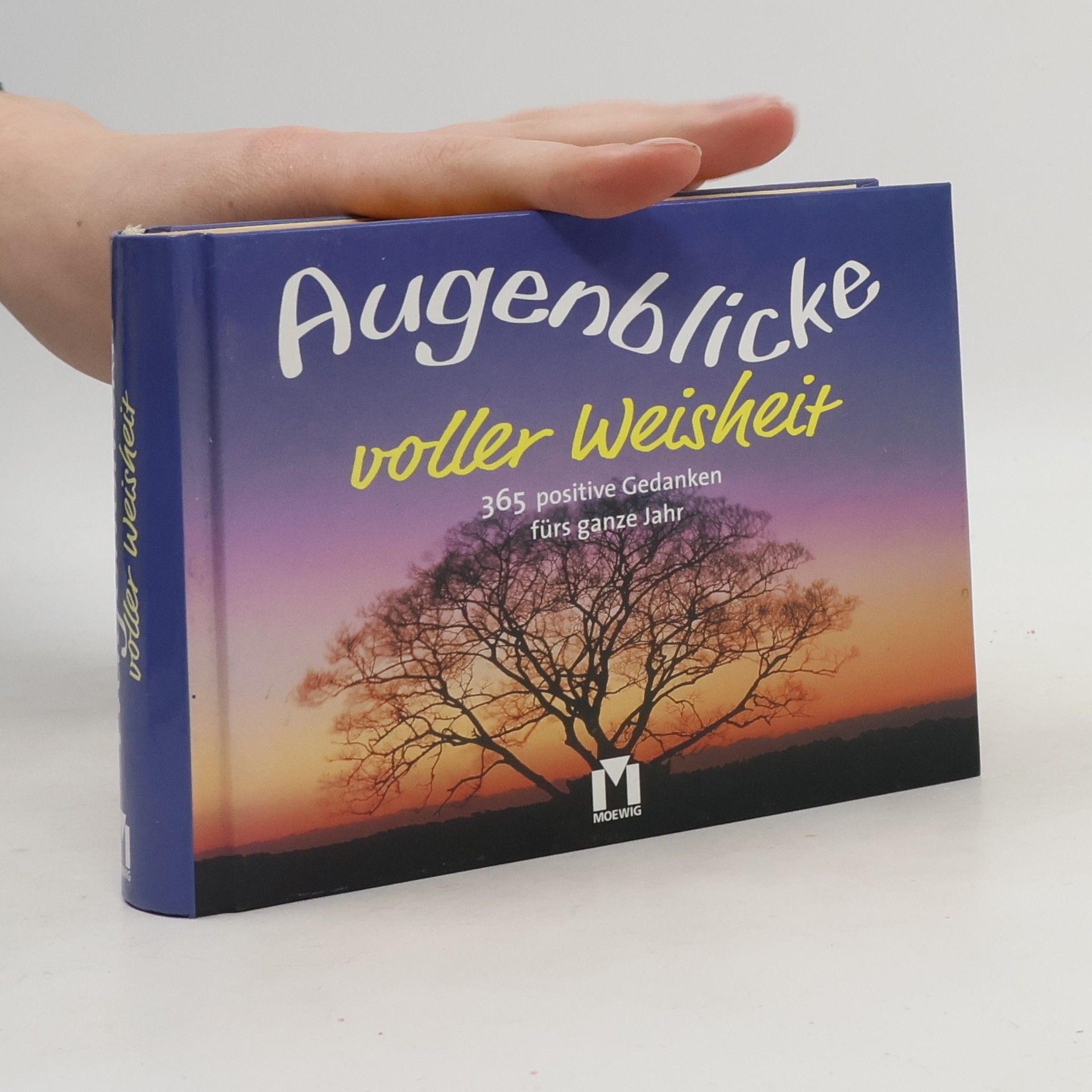 Collectif d'auteurs Augenblicke voller Weisheit