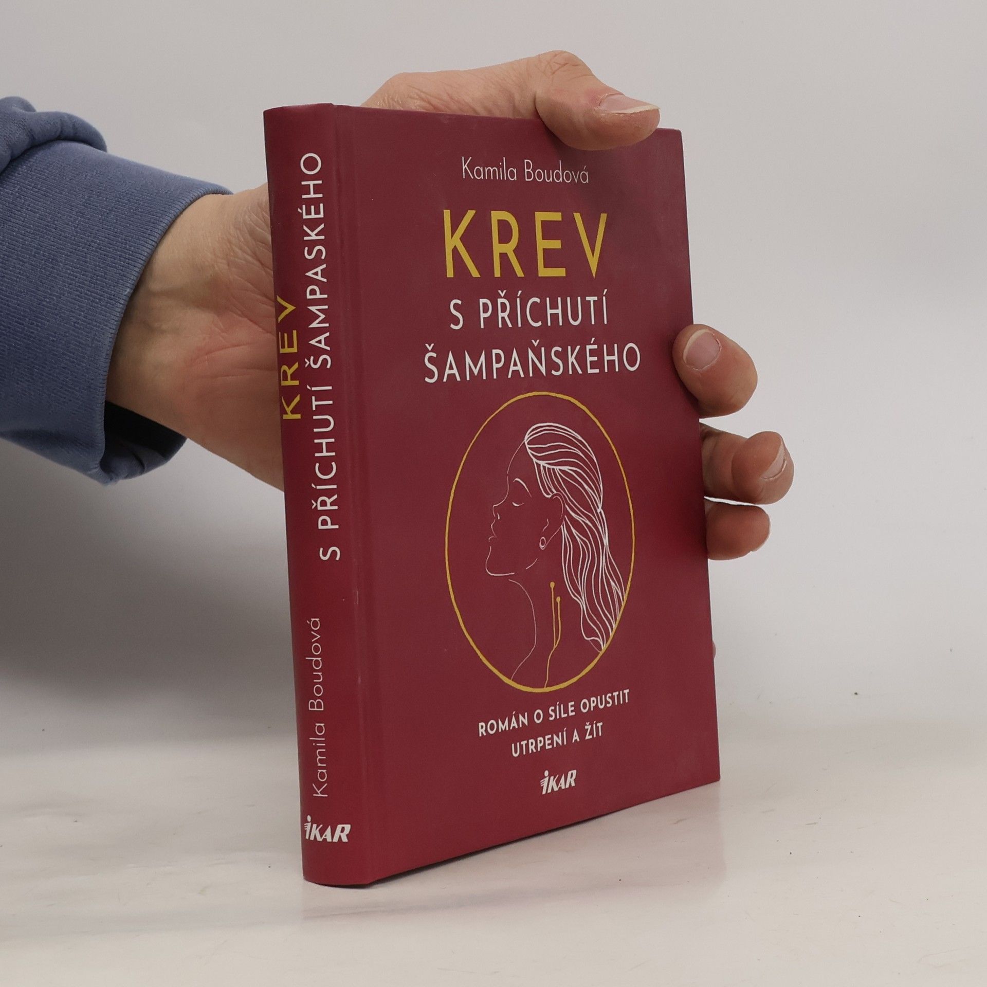 Kamila Boudová Krev s příchutí šampaňského