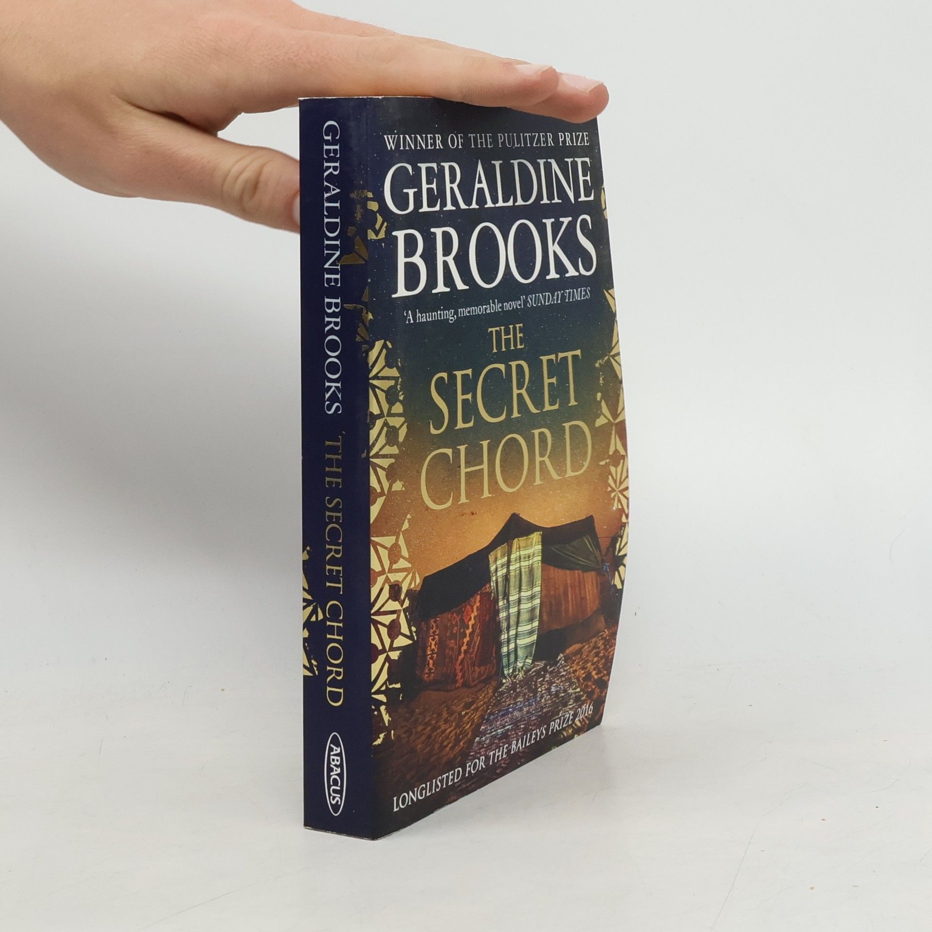 Geraldine Brooks Secret Chord