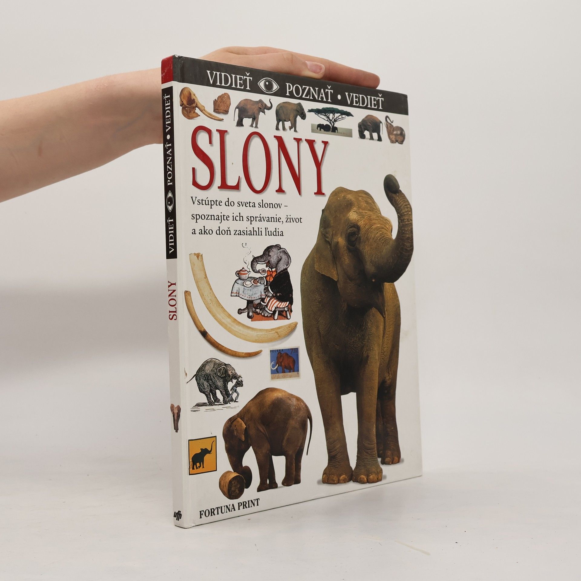 Ian Redmond Slony