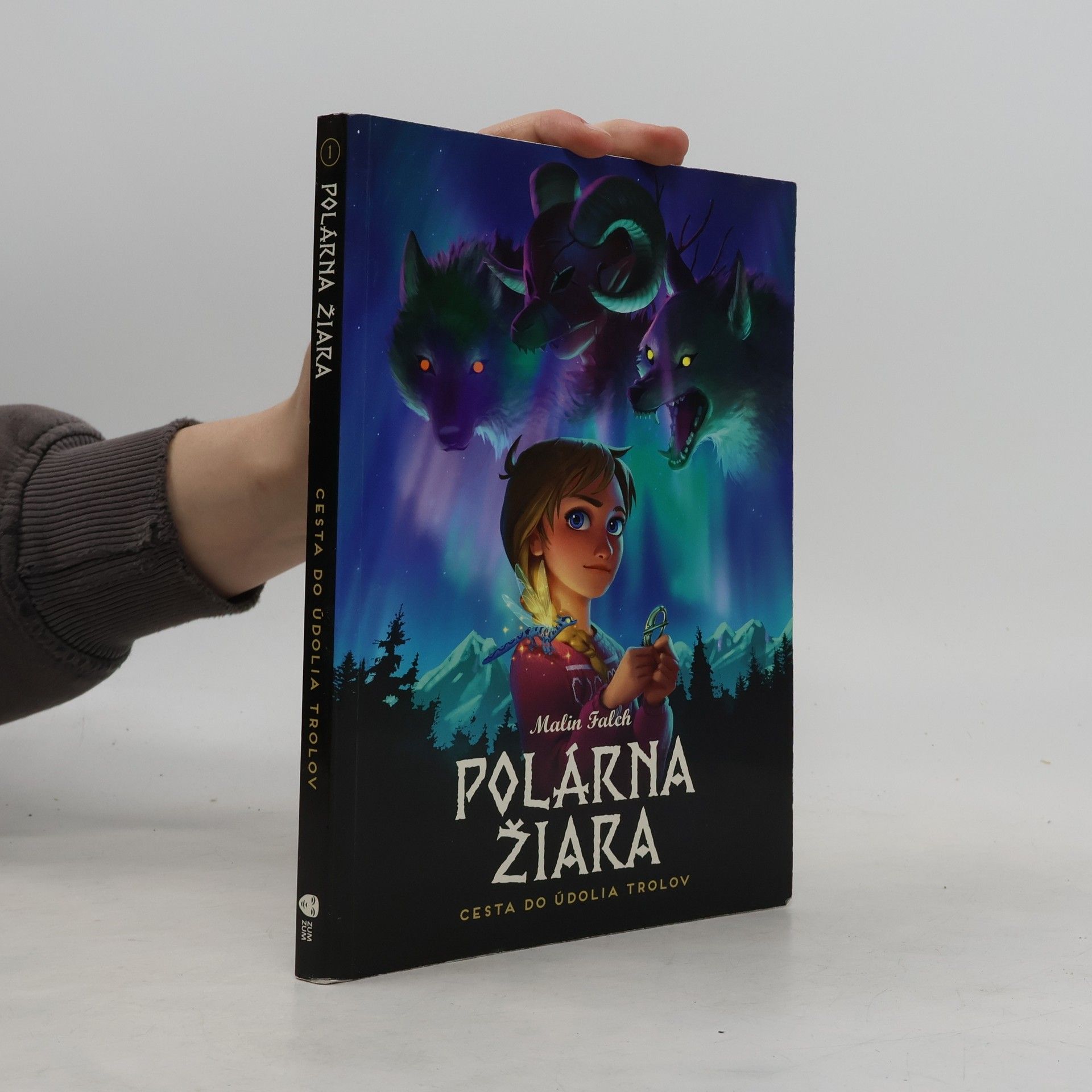 Malin Falch Polárna žiara. Cesta do údolia trolov