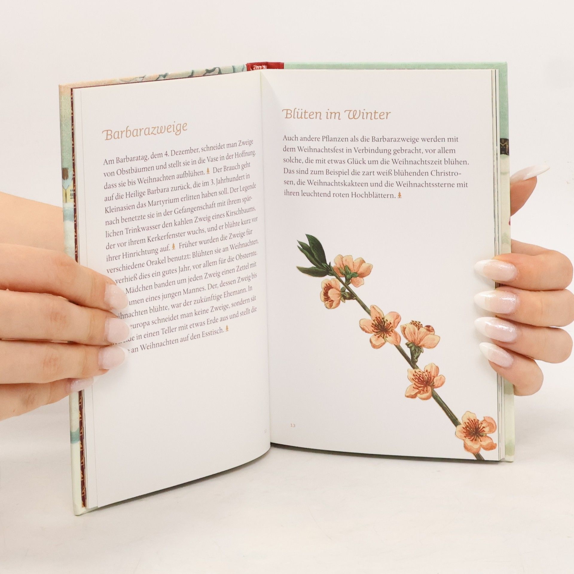 Das kleine Buch der Weihnachtsbräuche