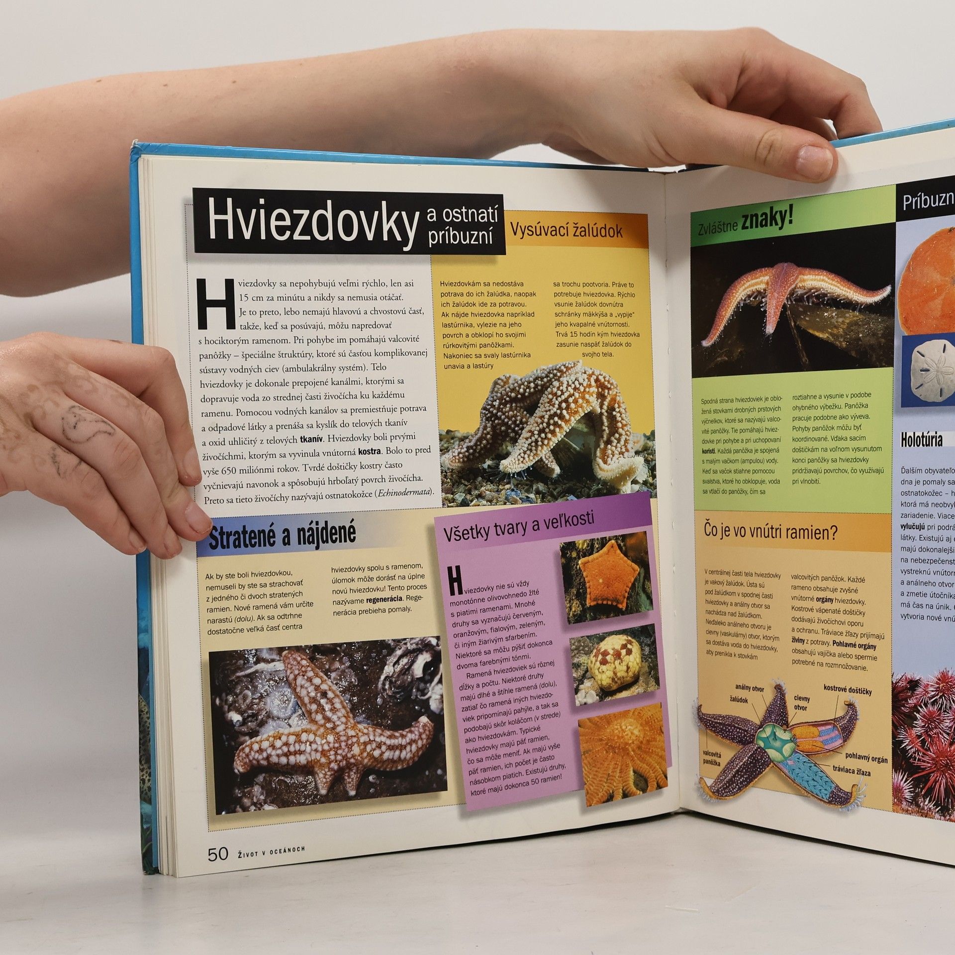 Various authors Život v oceánoch