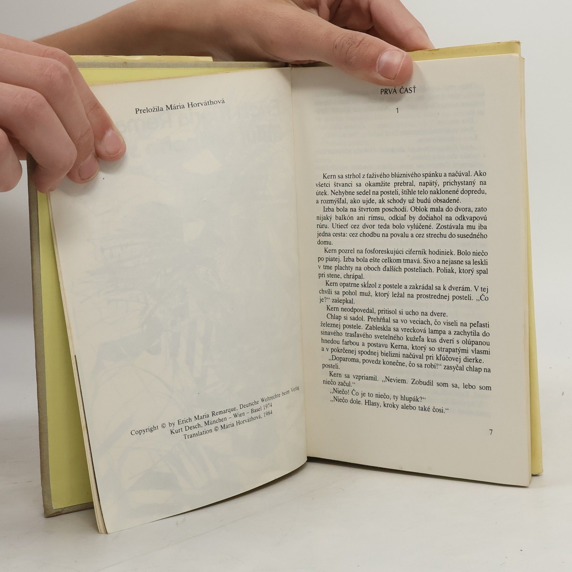 Erich Maria Remarque Miluj blížneho svojho