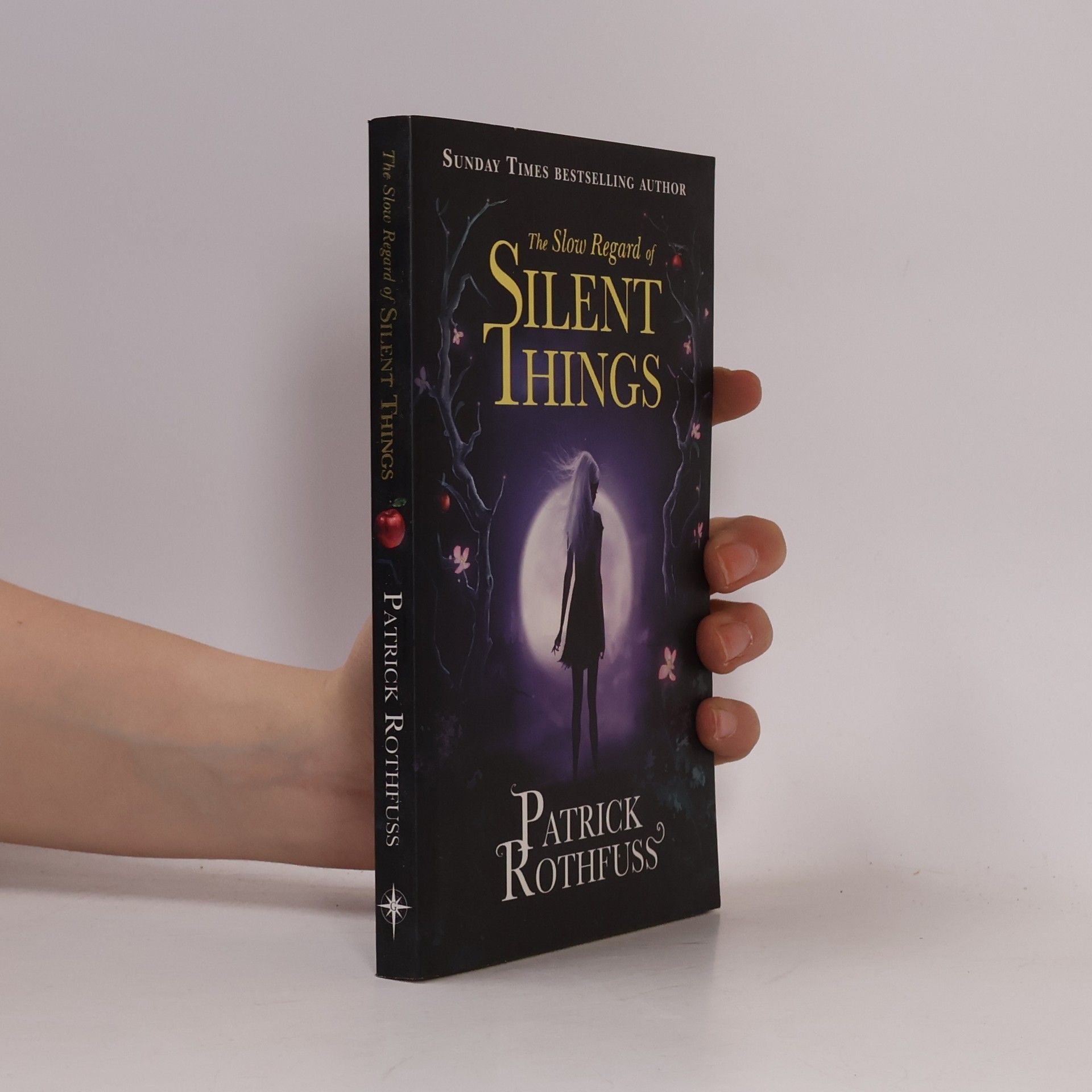 Patrick Rothfuss The Slow Regard of Silent Things