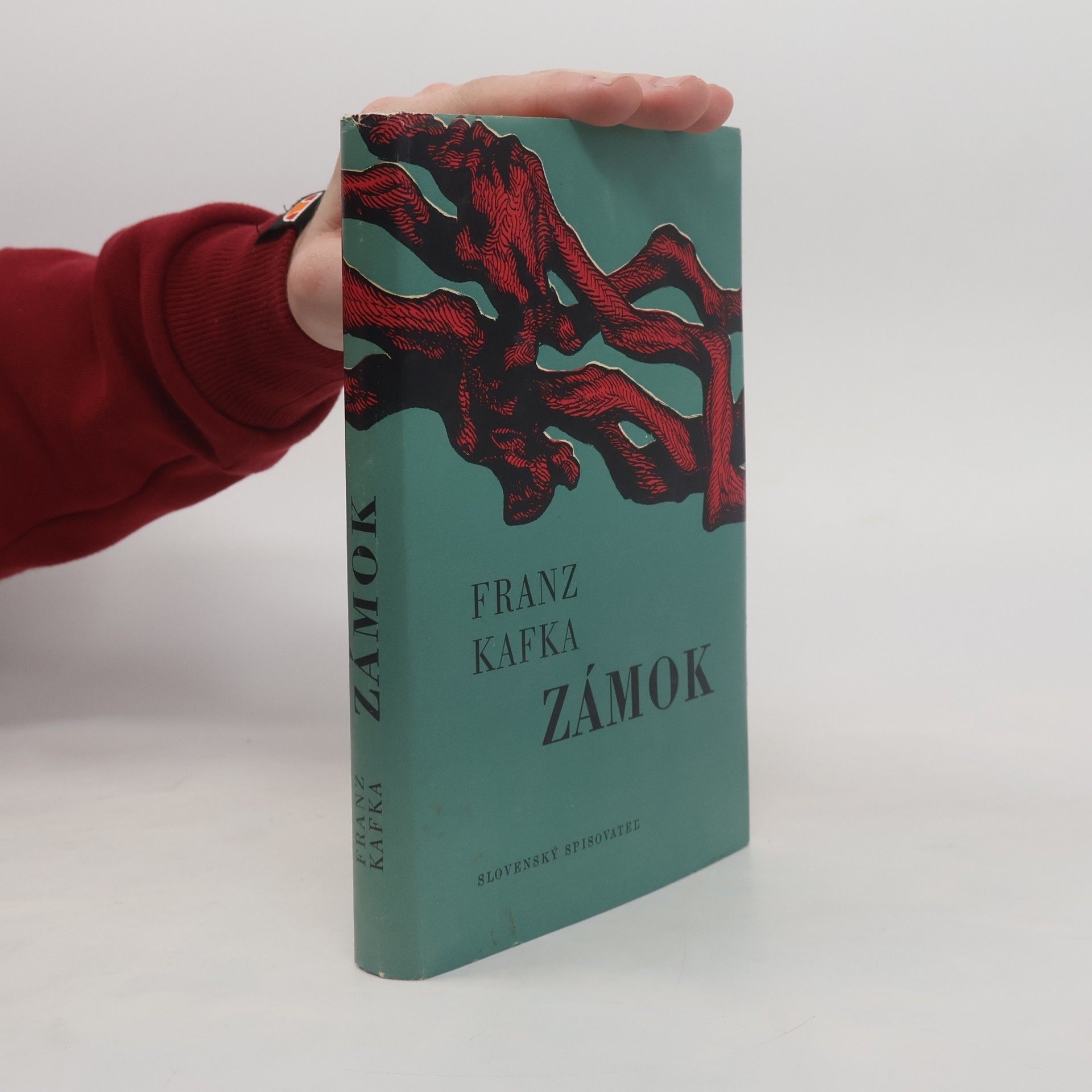 Franz Kafka Zámok