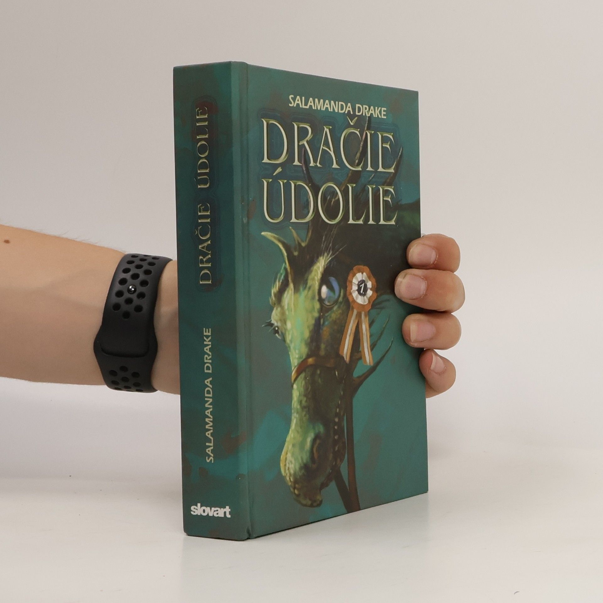 Steve Skidmore Dračie údolie
