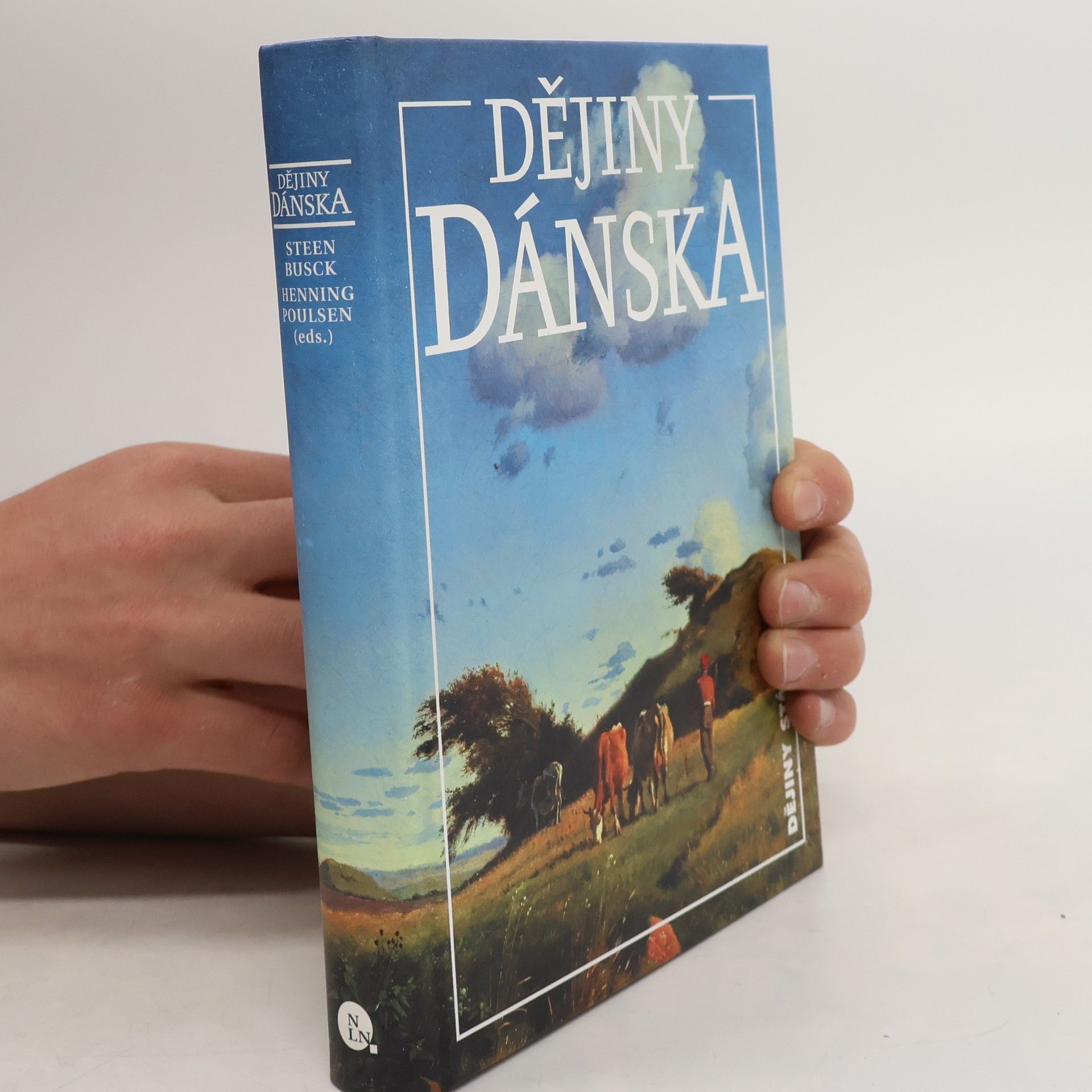 Steen Busck Dějiny Dánska