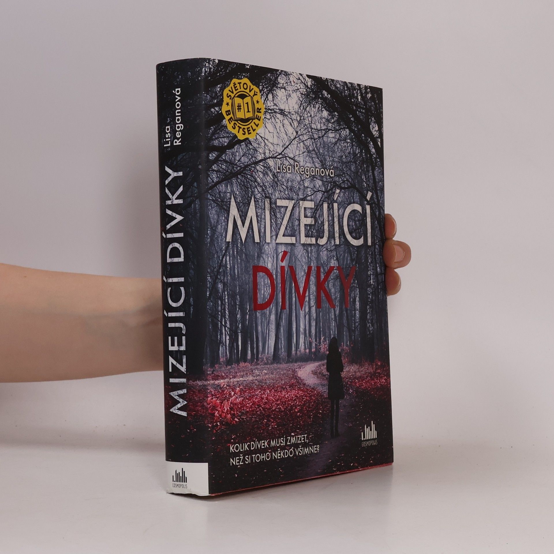 Lisa Regan Mizející dívky