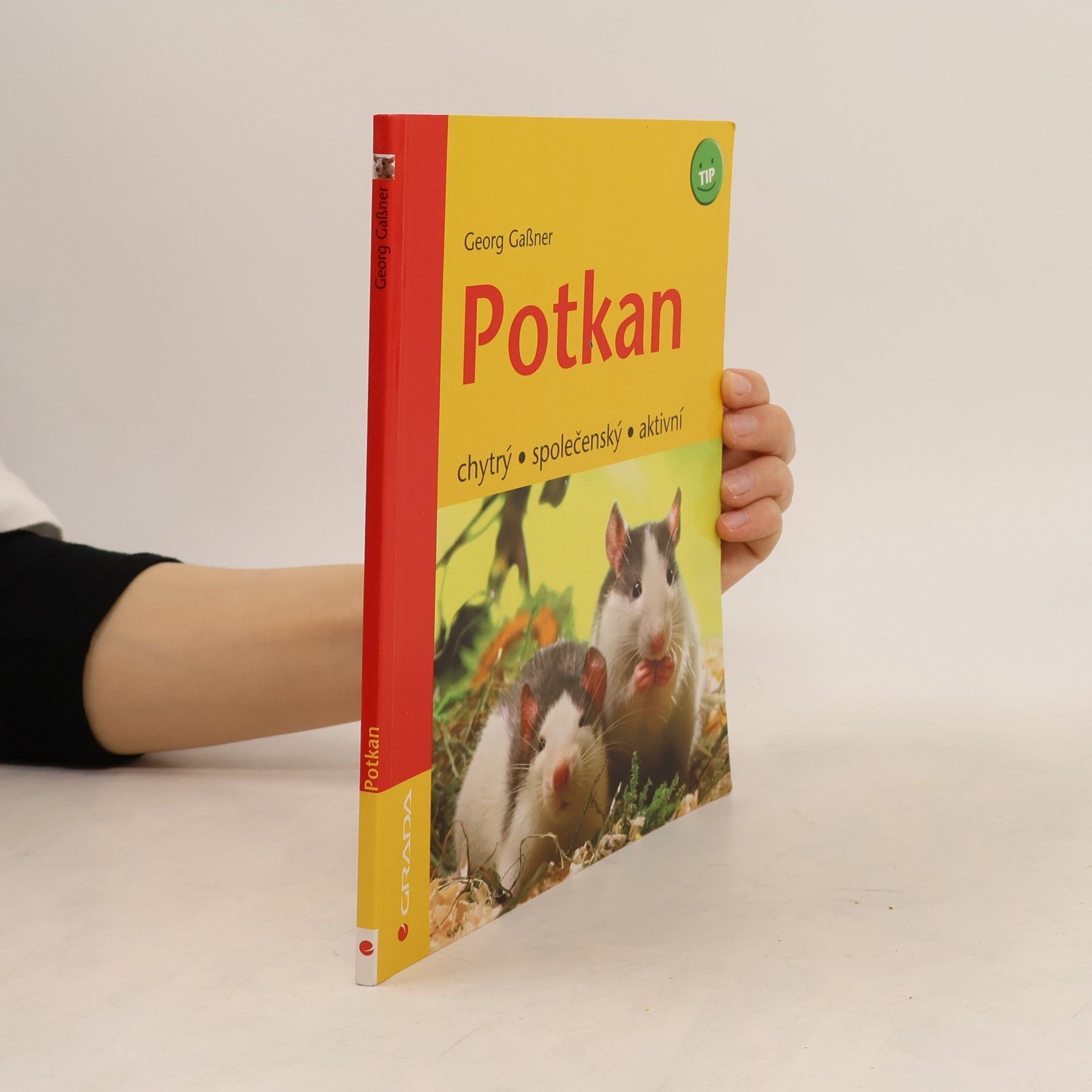 Georg Gaβner Potkan - chytrý, společenský, aktivní