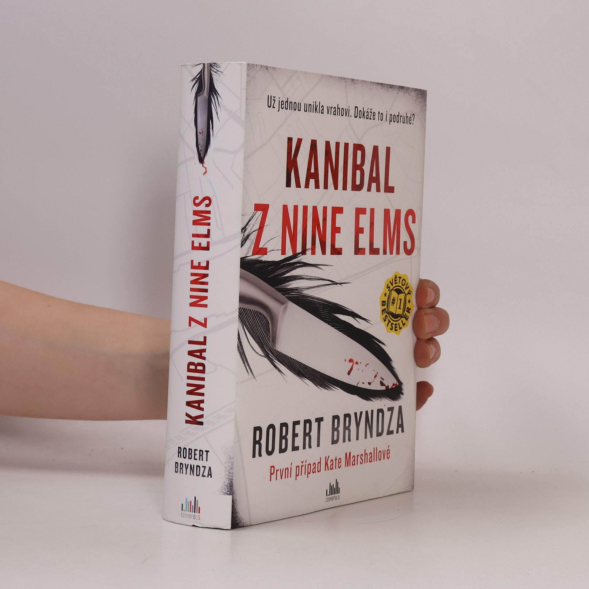 Robert Bryndza Kanibal z Nine Elms