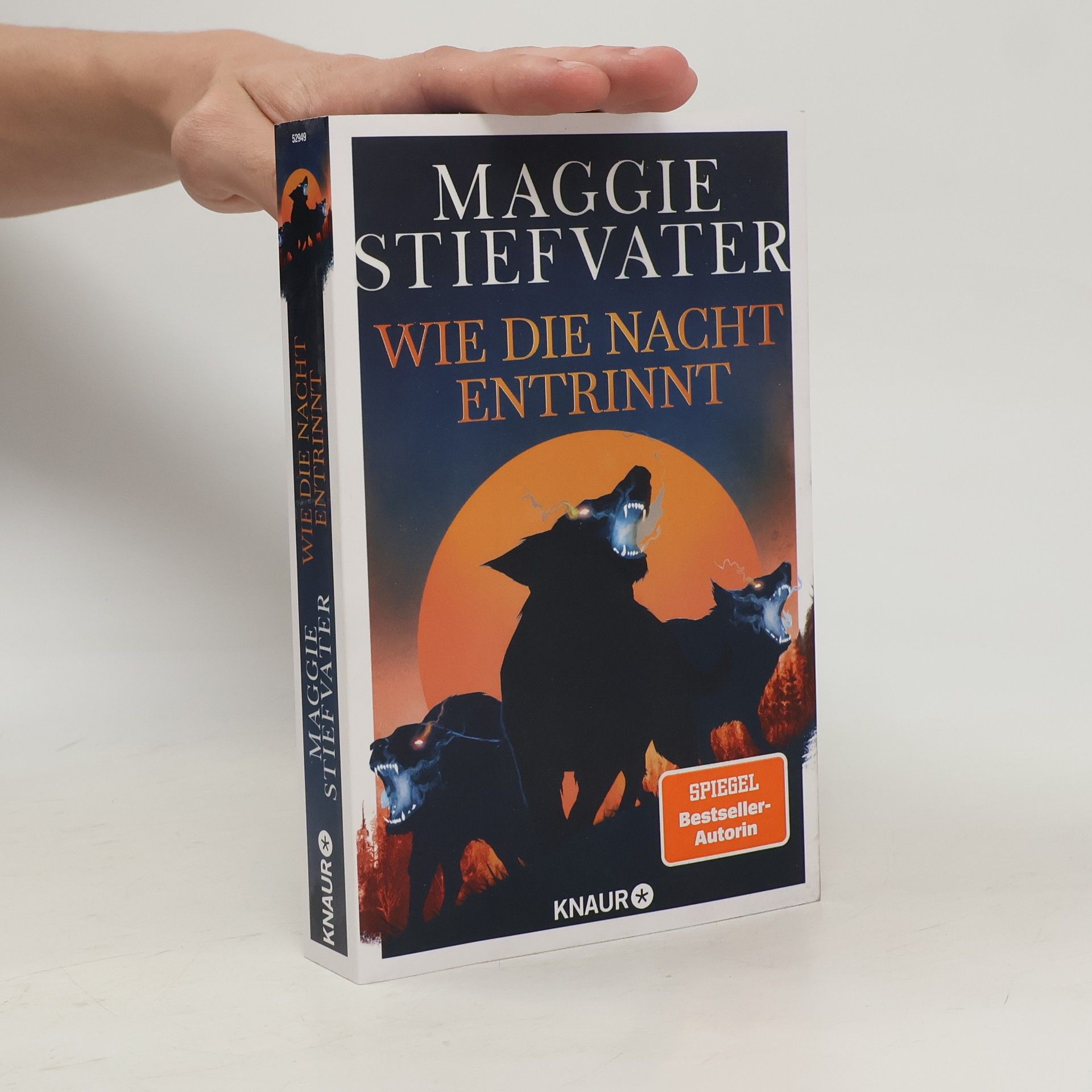 Maggie Stiefvater Wie die Nacht entrinnt