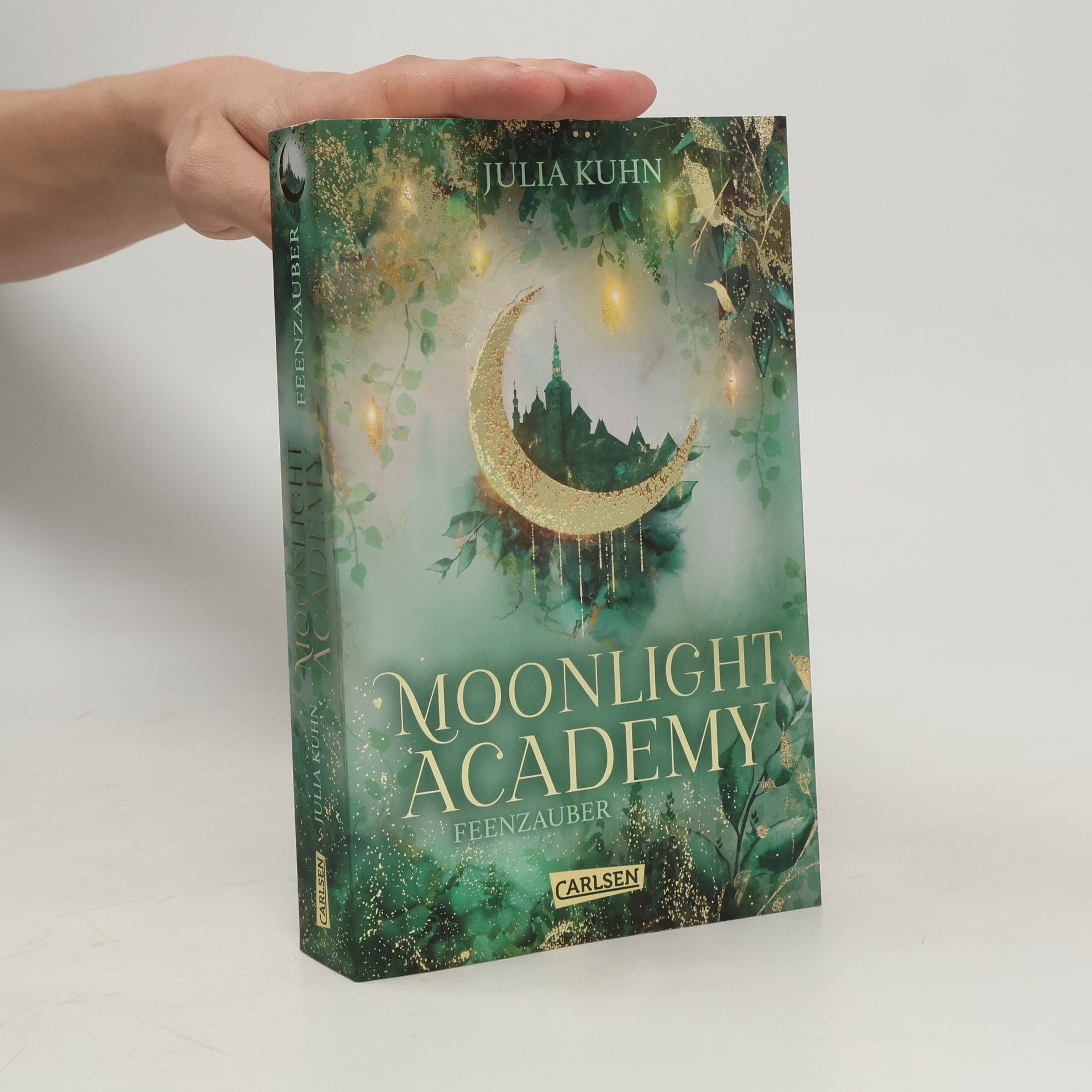 Julia Kuhn Moonlight Academy. Feenzauber