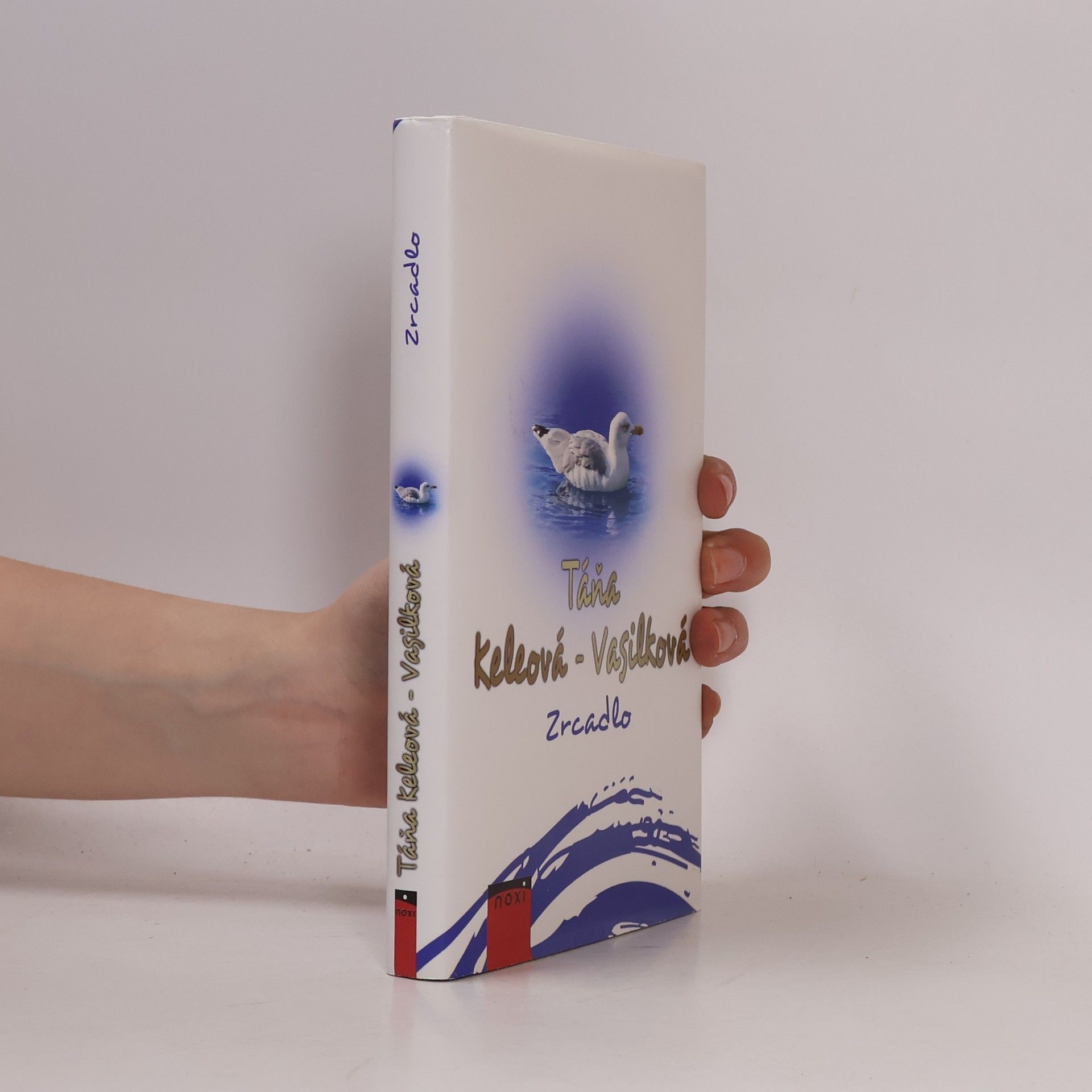 Táňa Keleová-Vasilková Zrcadlo