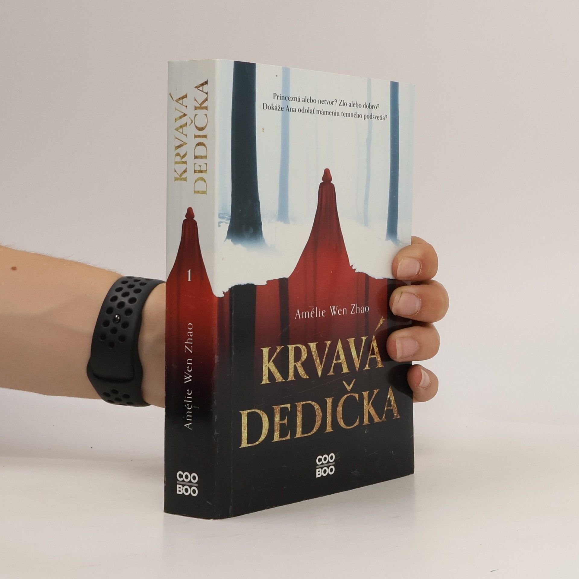 Amélie Wen Zhao Krvavá dedička