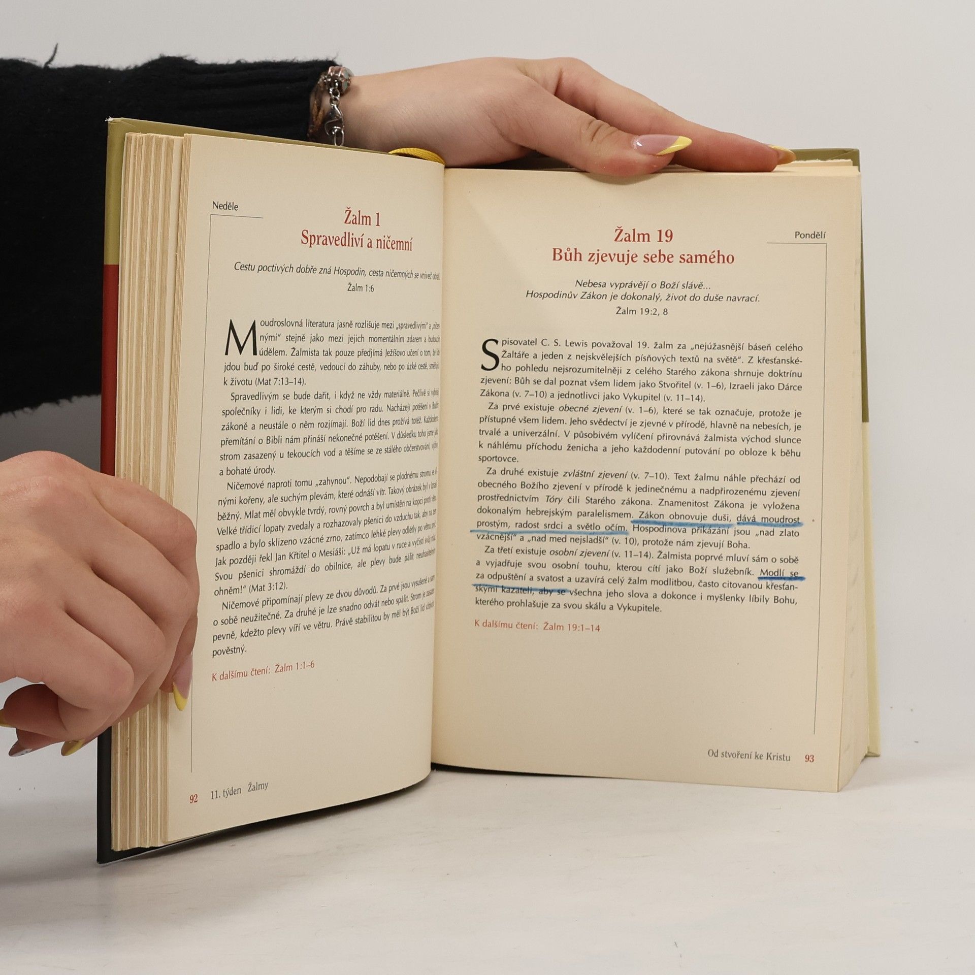 John Stott Rok s Biblí