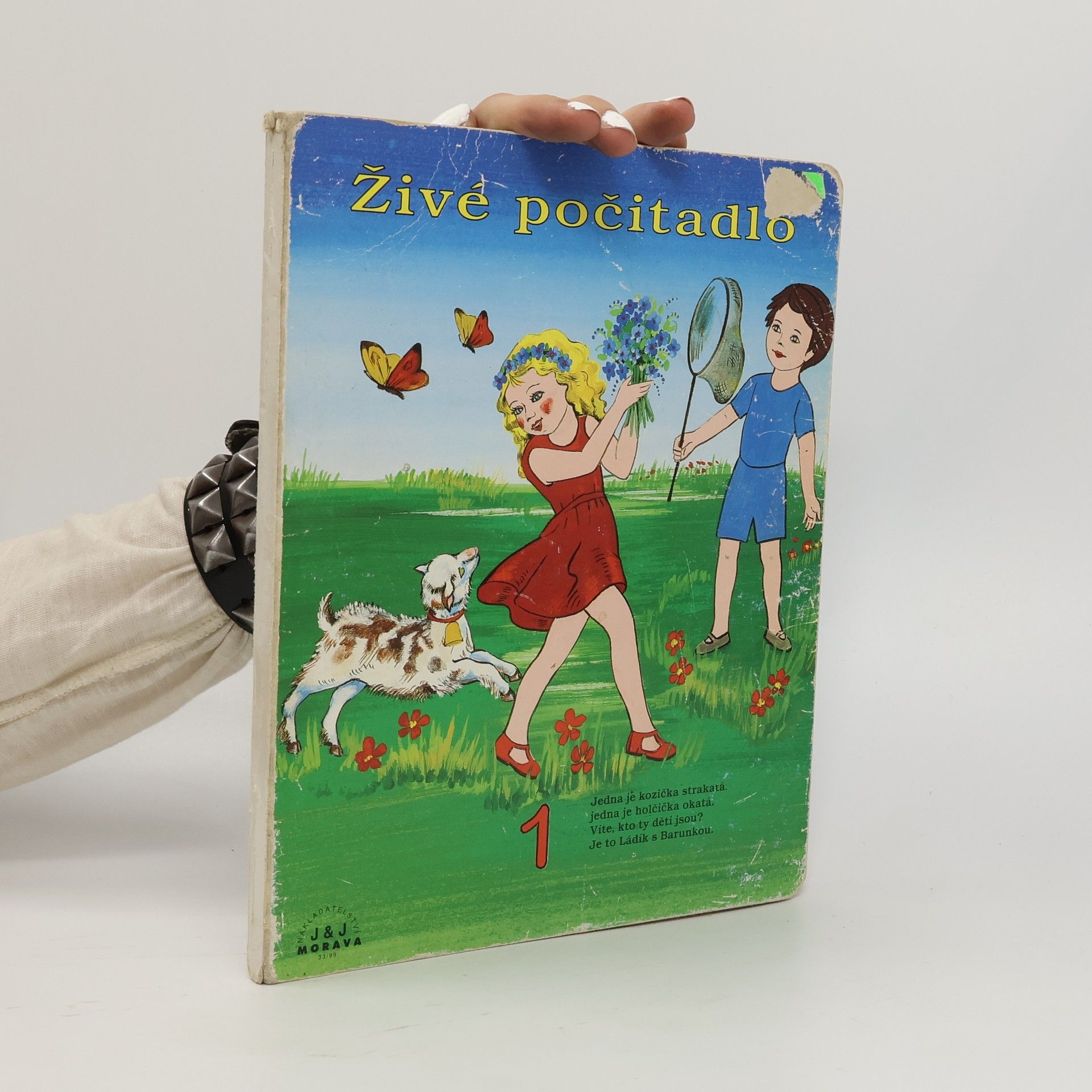 Jana Krejčiříková Živé počítadlo