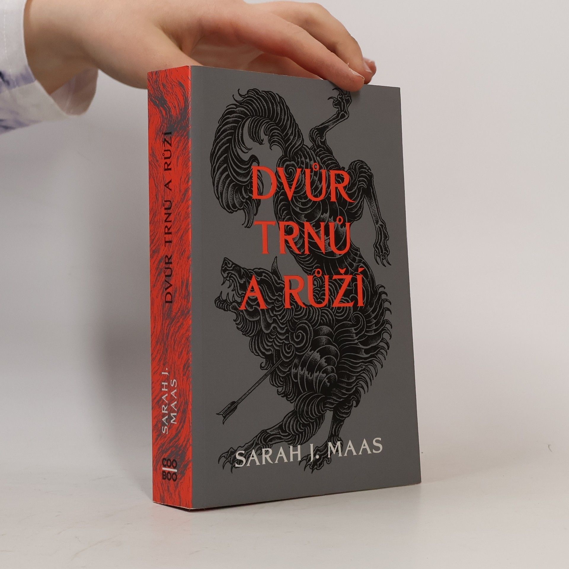 Sarah J. Maas Dvůr trnů a růží