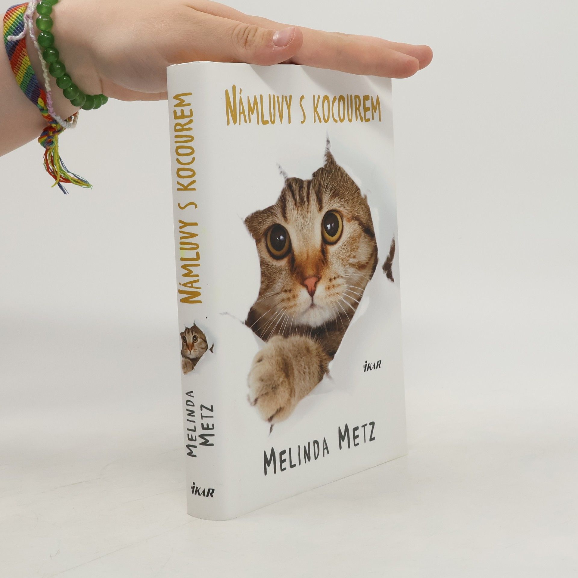 Melinda Metz Námluvy s kocourem
