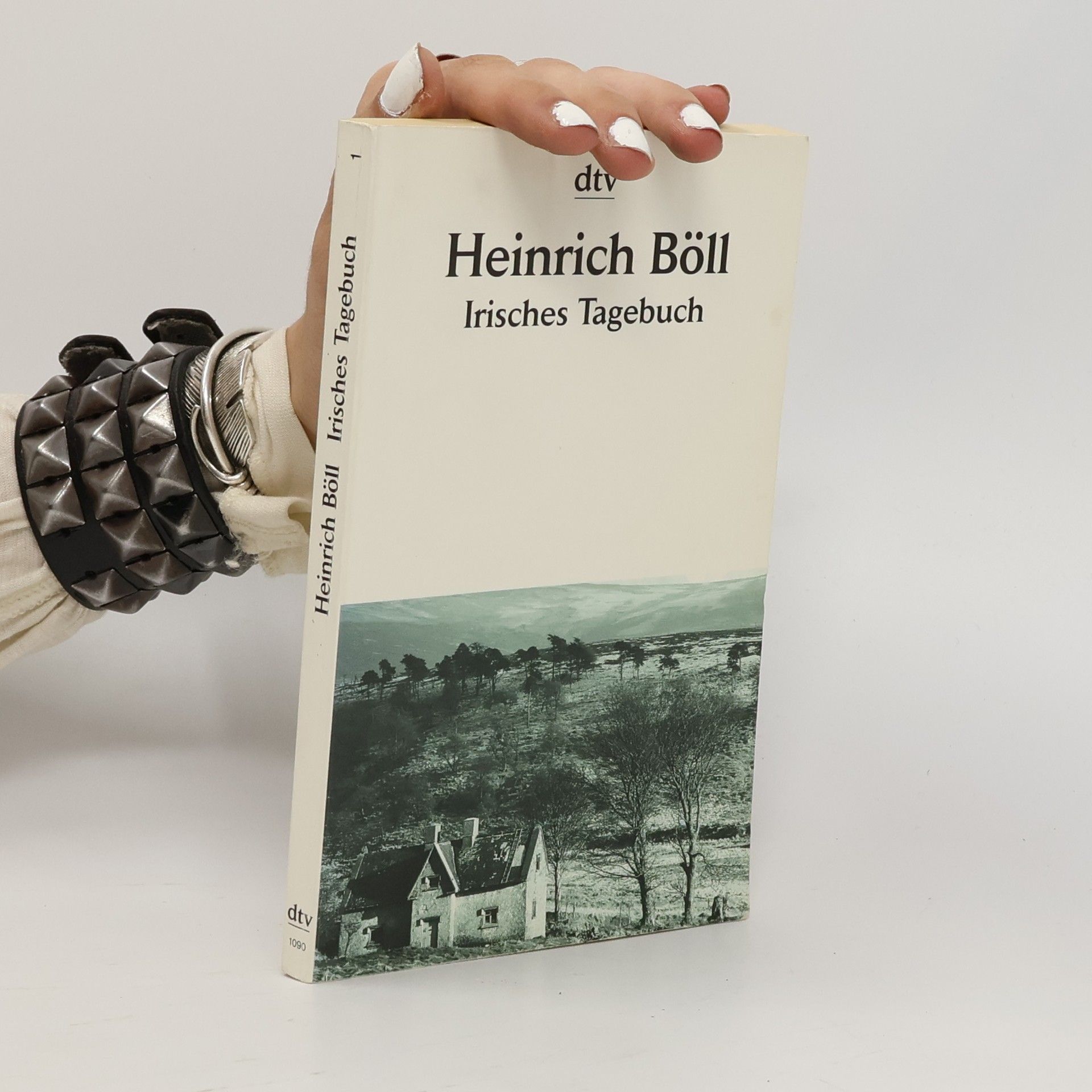 Heinrich Böll Irisches Tagebuch