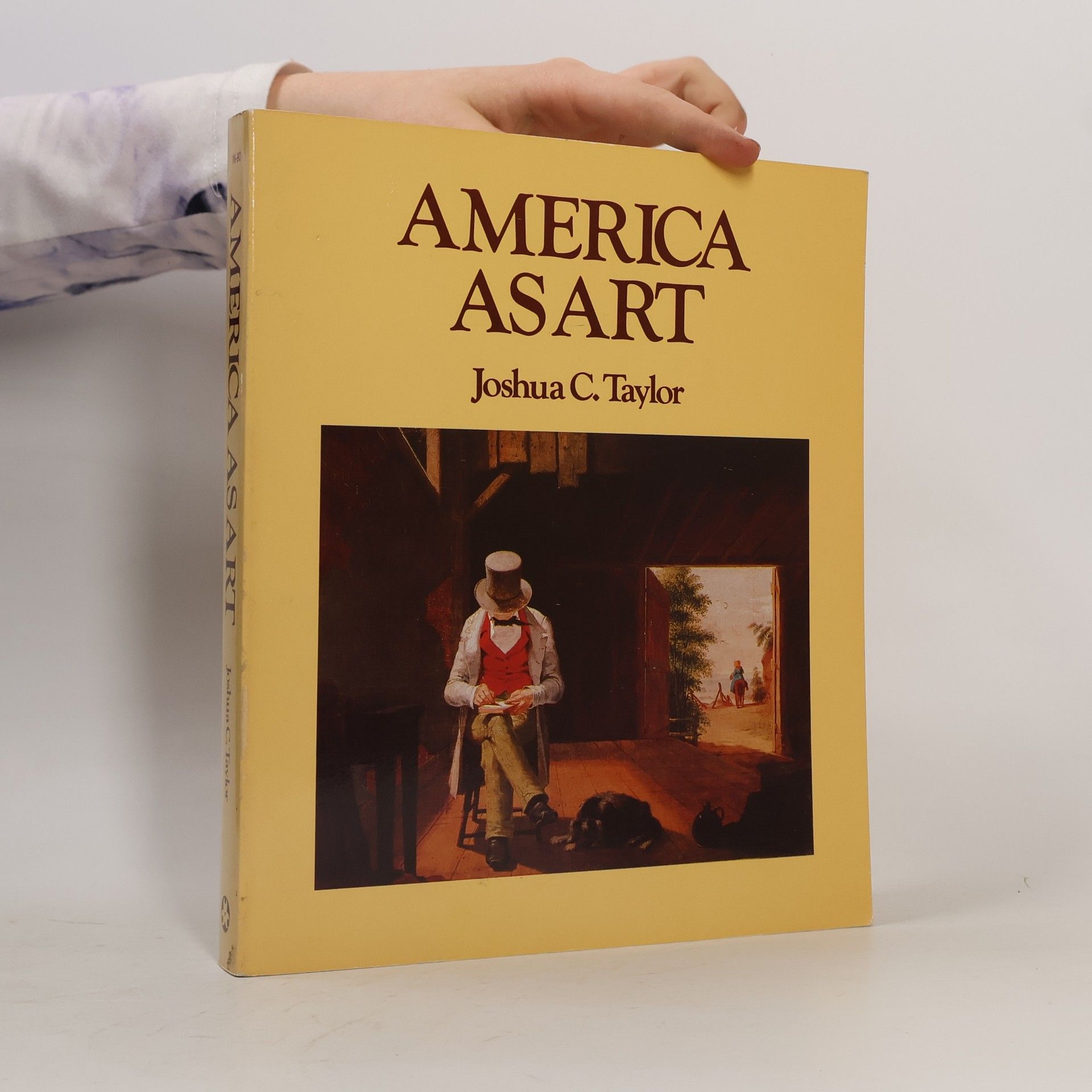 Joshua Charles Taylor America As Art