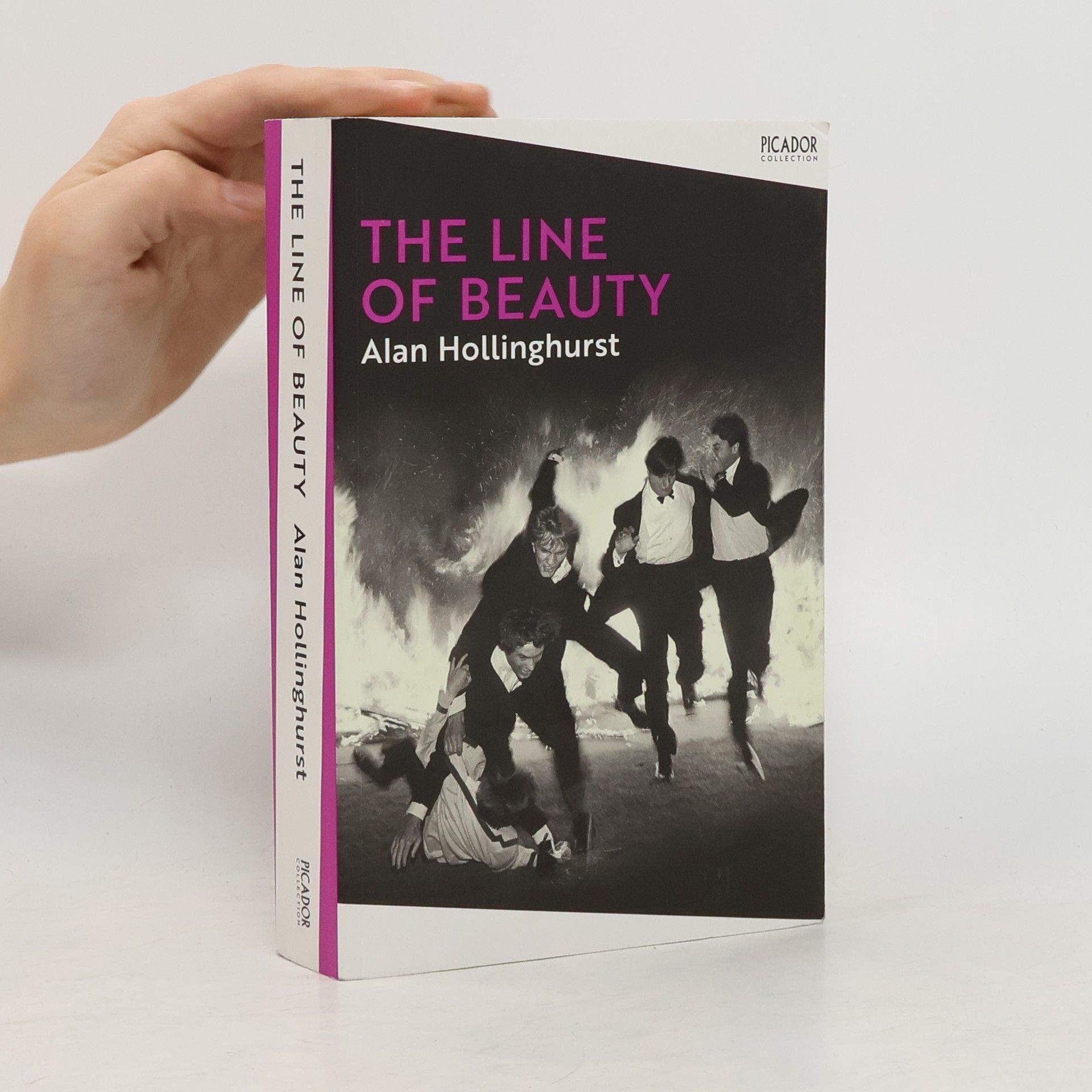 Allan Hollinghurst The Line of Beauty