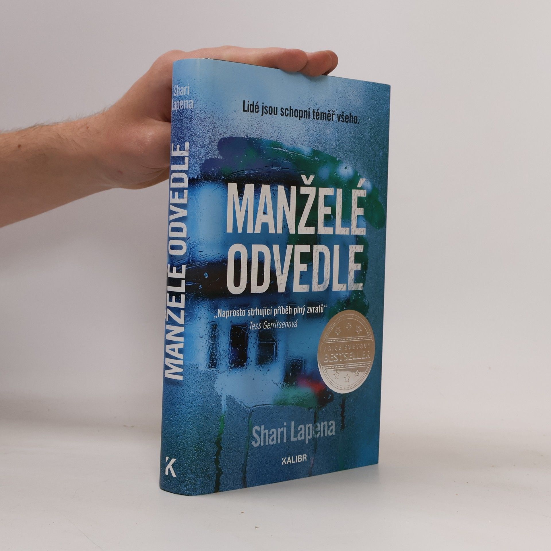 Shari Lapena Manželé odvedle