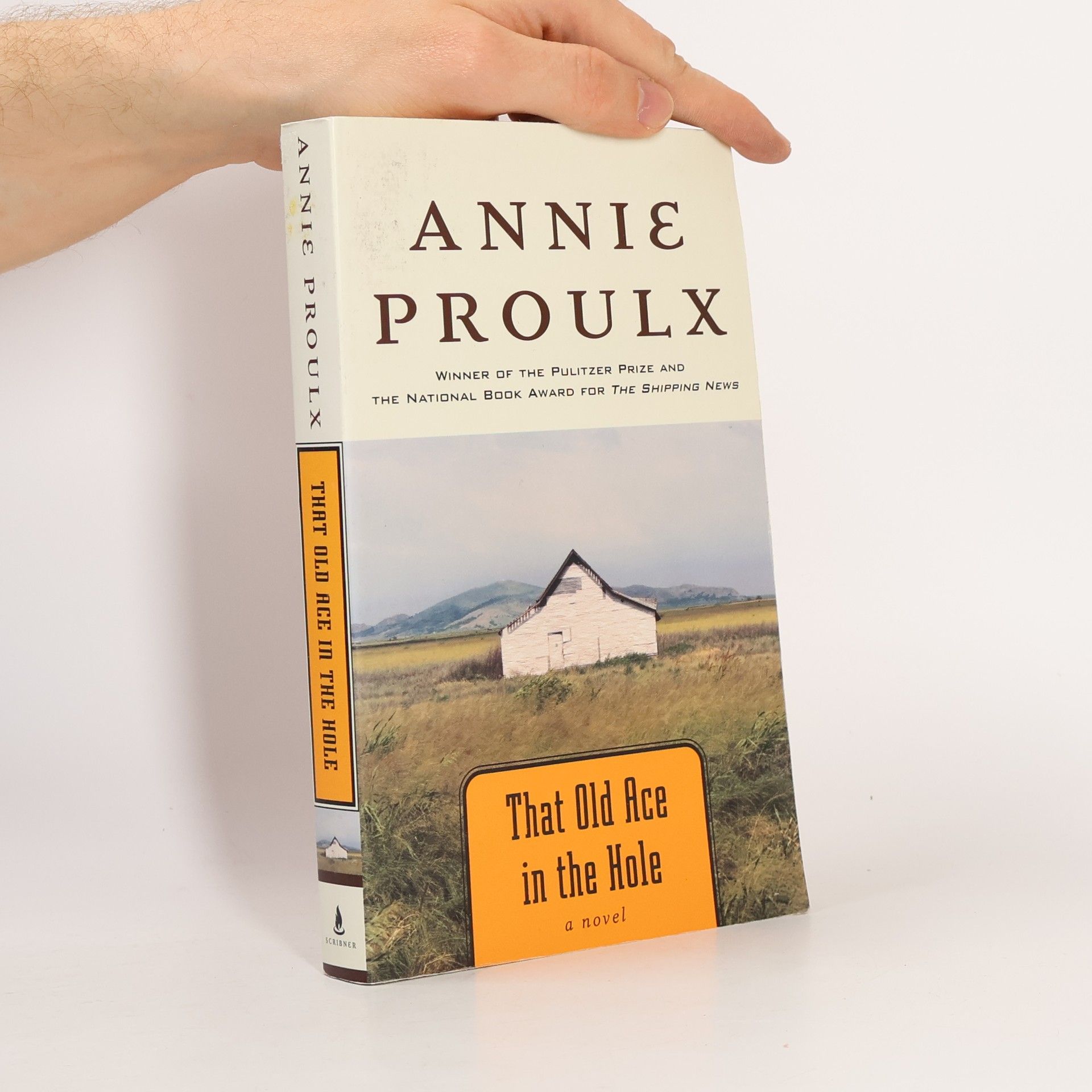 Annie Proulx That Old Ace in the Hole