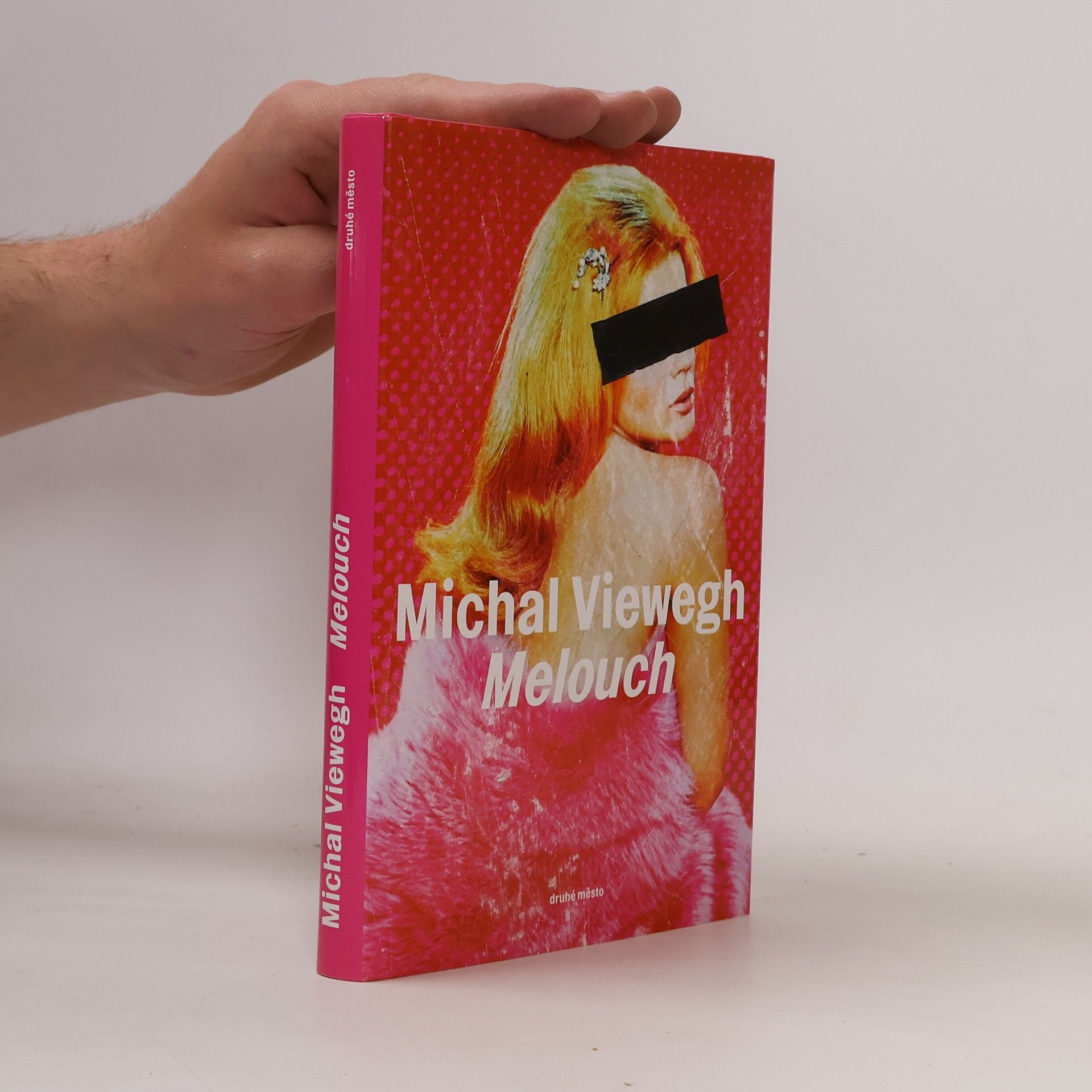 Michal Viewegh Melouch