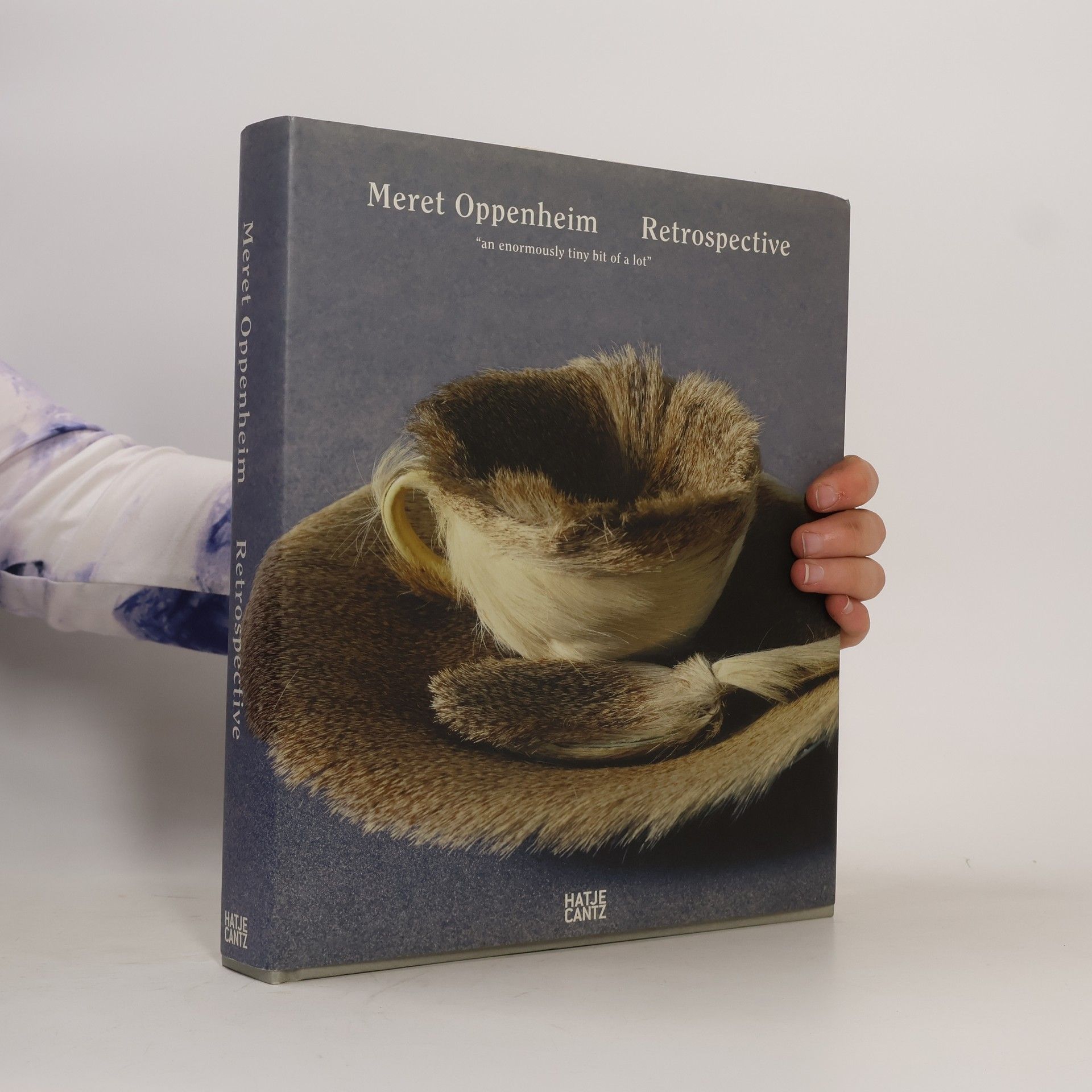 Meret Oppenheim Retrospective An Enormously Tiny Bit of a Lot