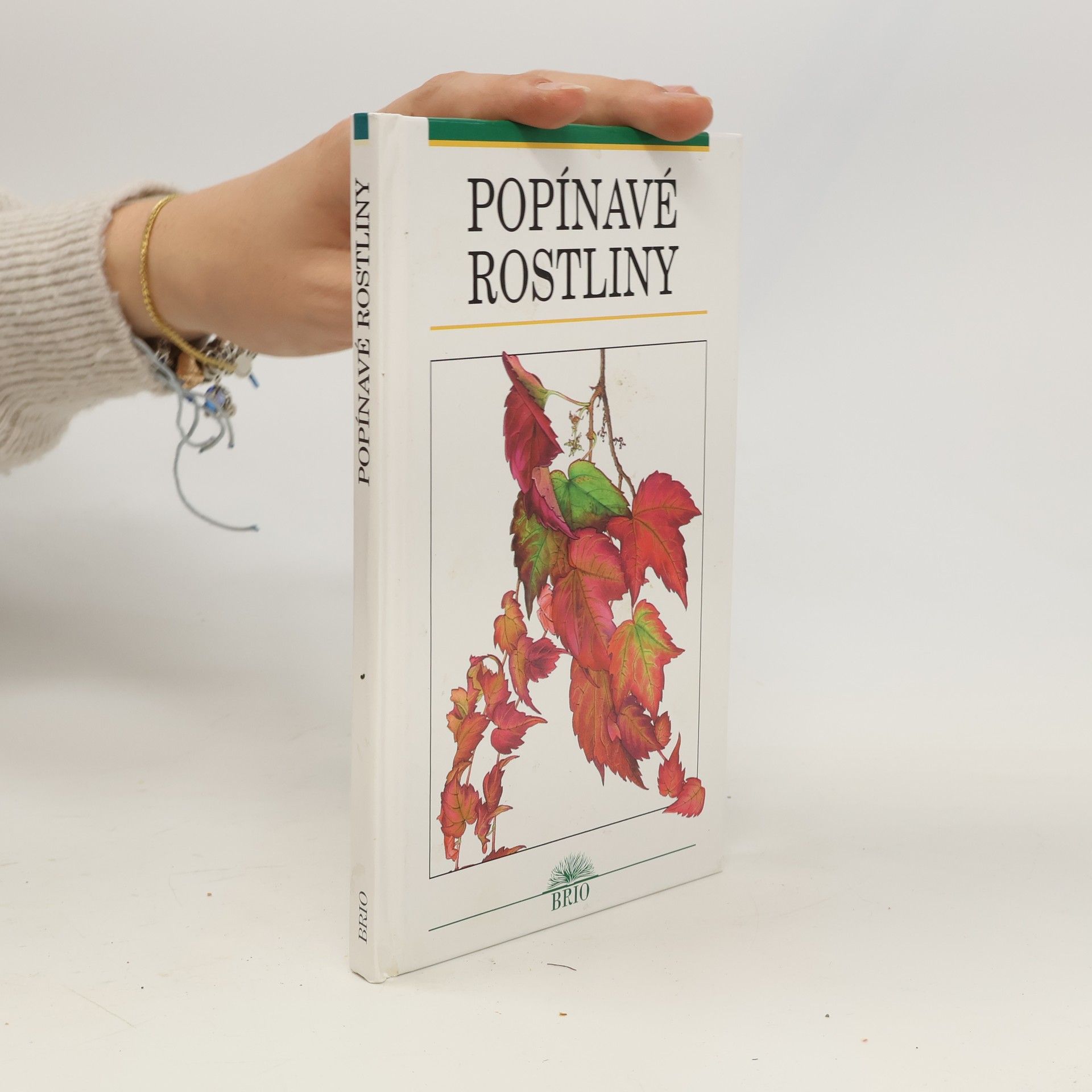Popínavé rostliny