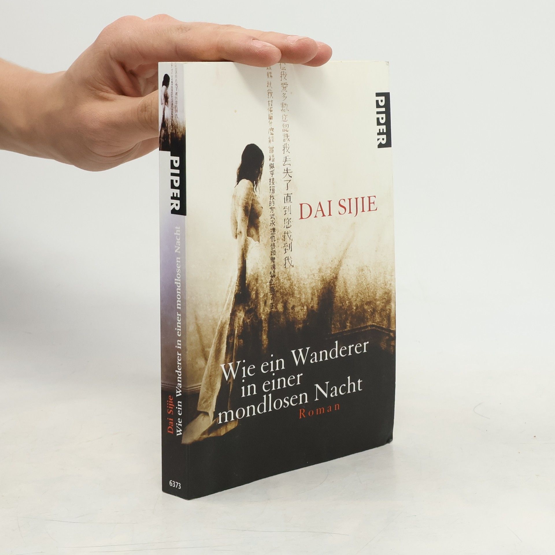 Dai Sijie Wie ein Wanderer in einer mondlosen Nacht