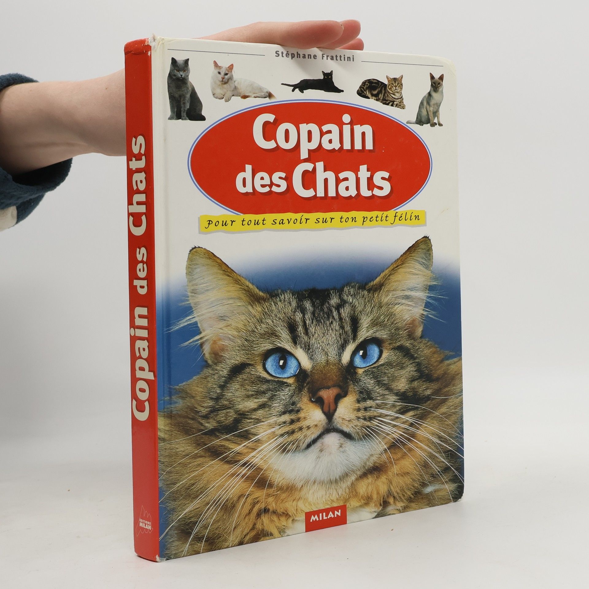 Copain des chats