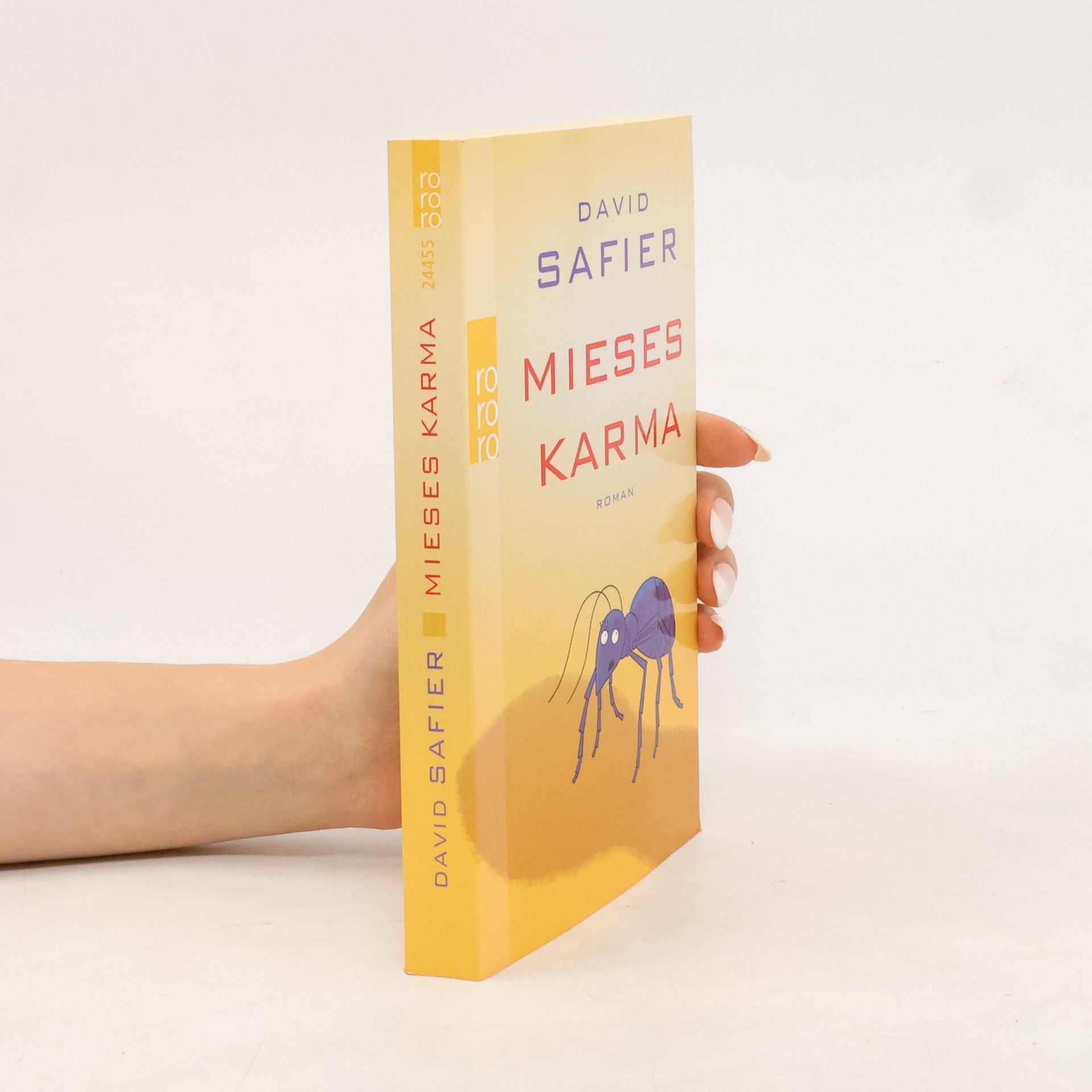 David Safier Mieses Karma