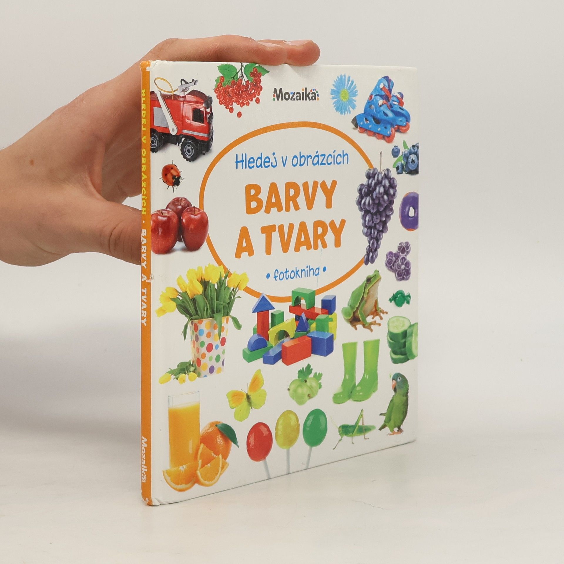Kolektiv autorů Barvy a tvary : fotokniha