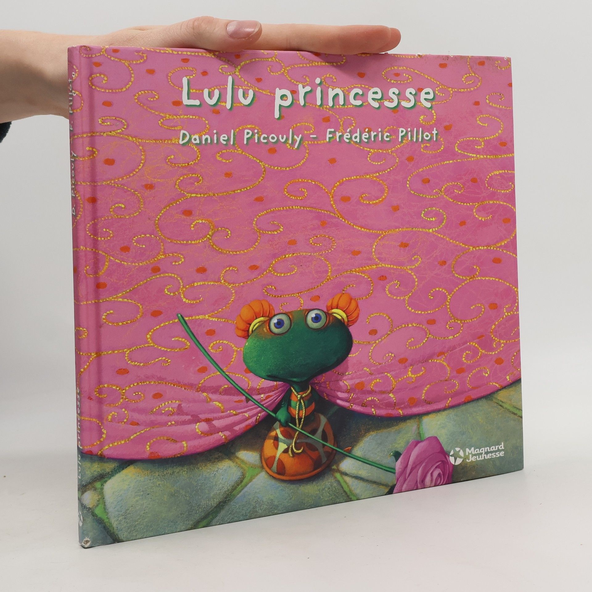 Daniel Picouly Lulu princesse